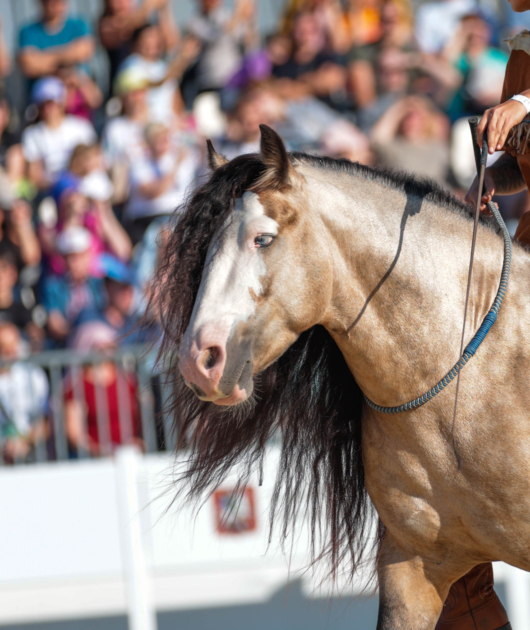 Закрытие сезона ЦНКТ. Фотограф Юлия Калинина