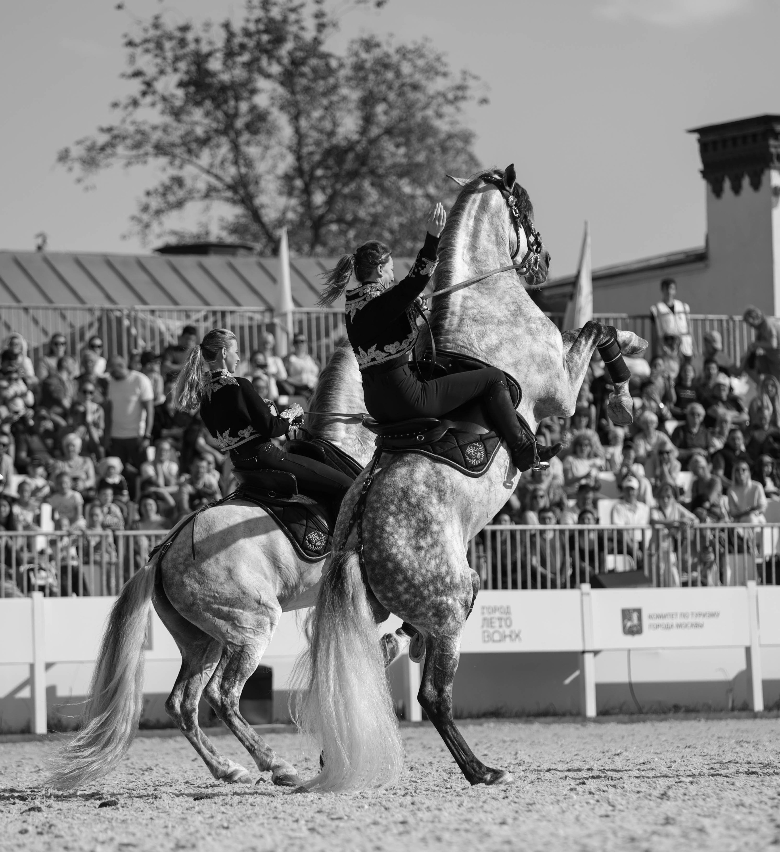 Закрытие сезона ЦНКТ. Фотограф Юлия Калинина
