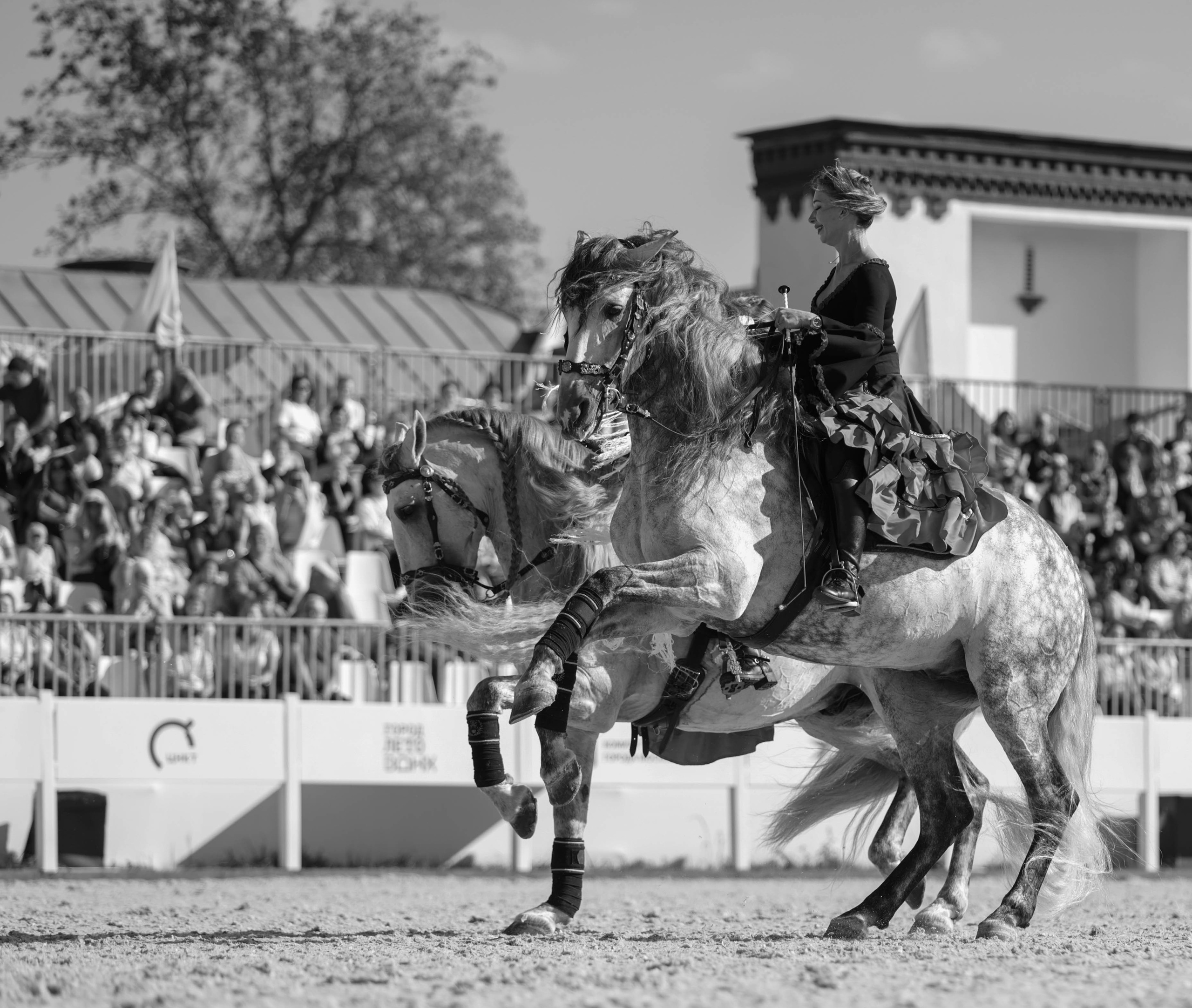 Закрытие сезона ЦНКТ. Фотограф Юлия Калинина