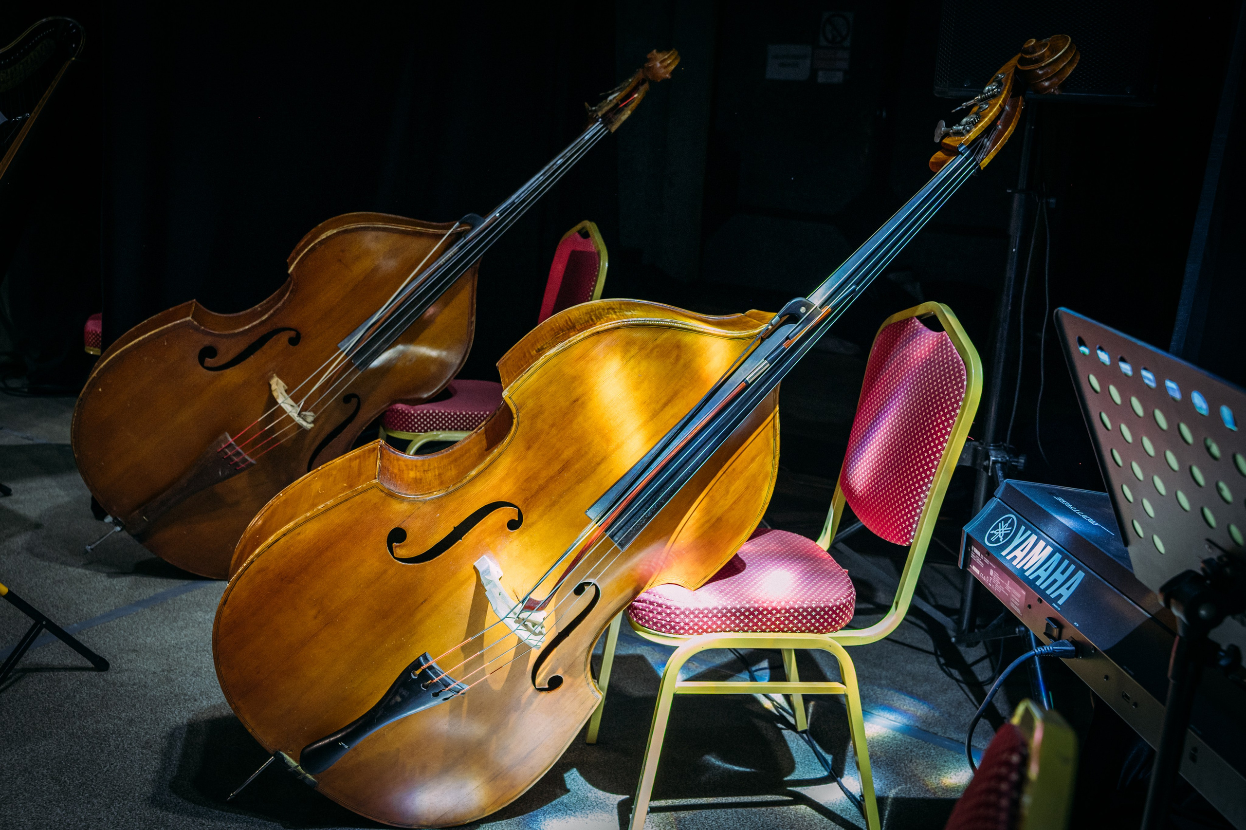 Симфонический оркестр. Фотограф в Волгограде Марина Черных