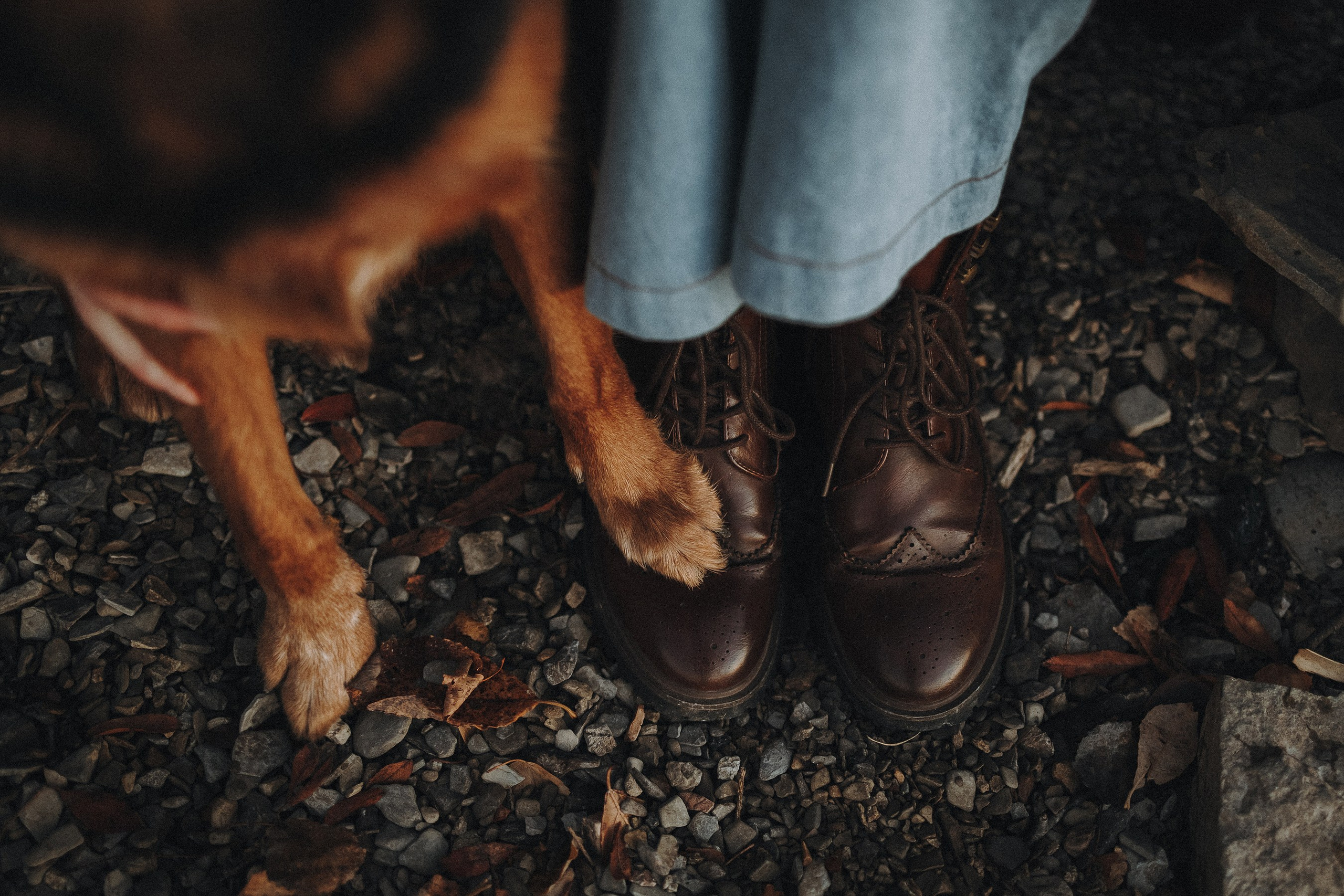 Марина и Ёлка. Фотограф Наталья Потапова