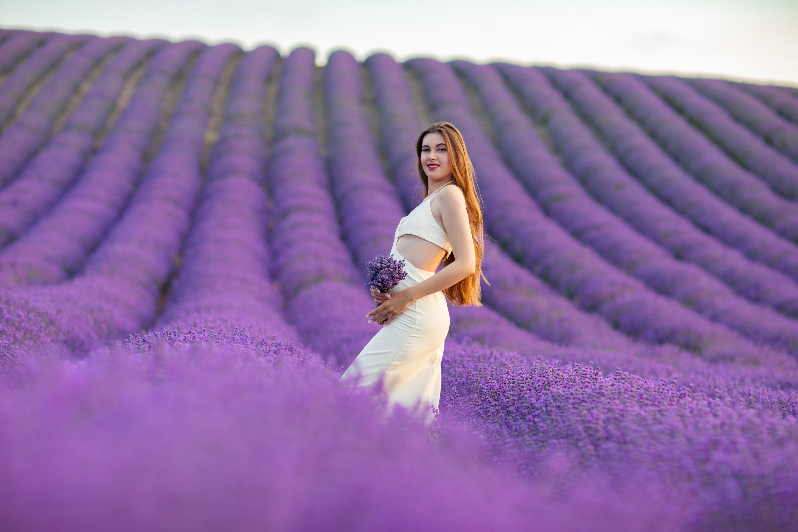 ЛАВАНДА. Фотограф Севастополь/Крым Светлана Евтушенко