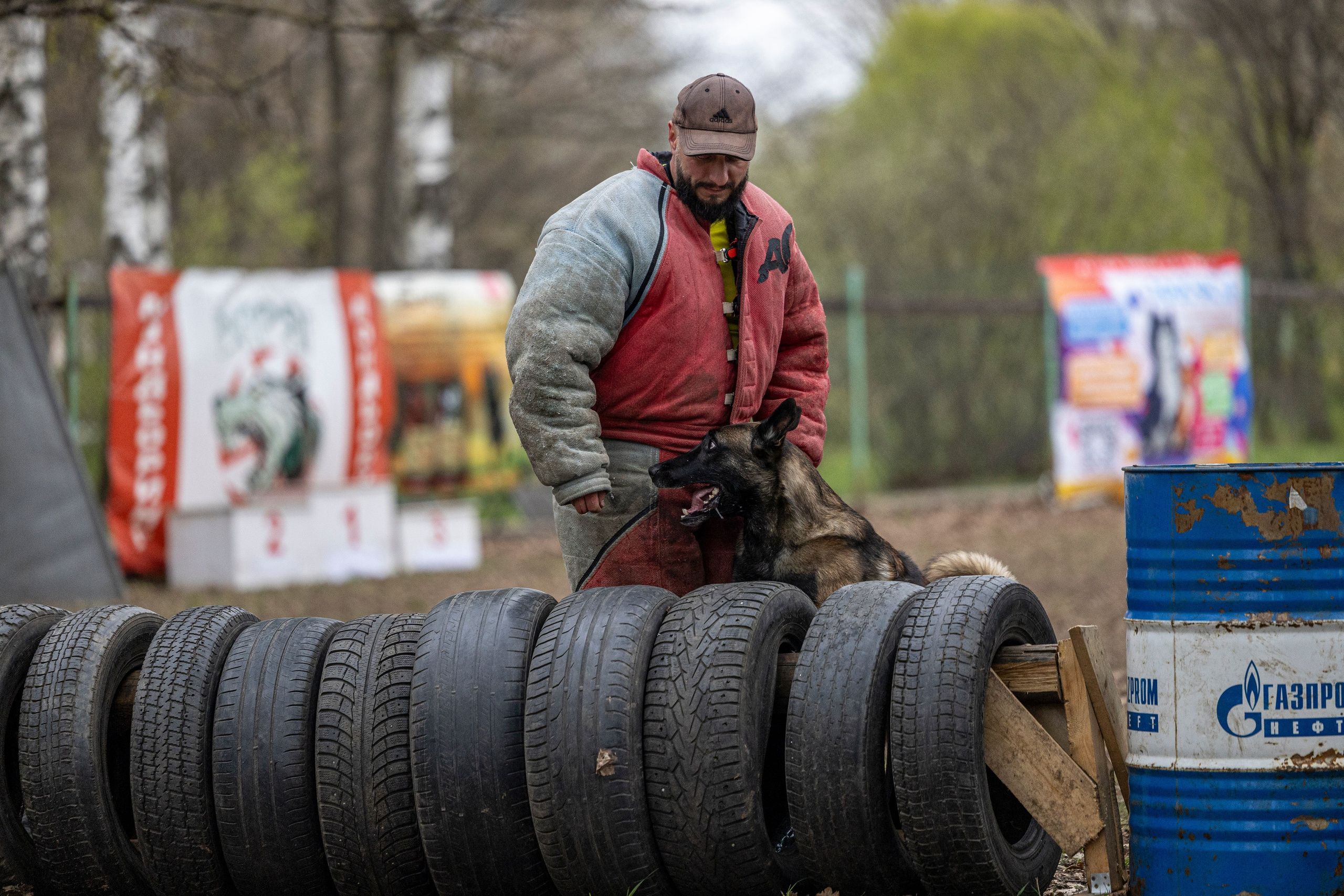Квалификационные состязания по мондьорингу г. Вологда 11.05.24. Фотограф-анималист Анна Маринич