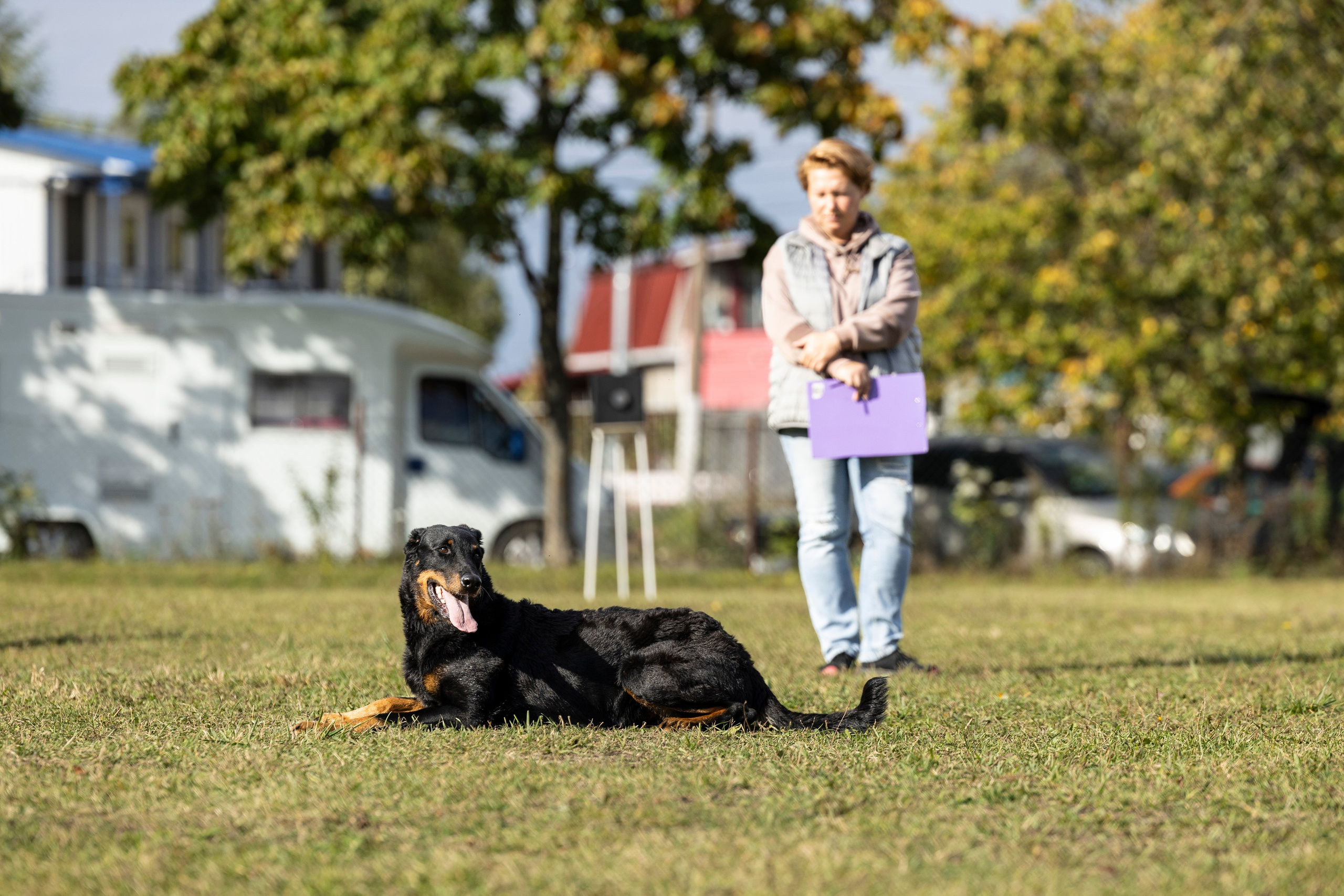 Испытания по Мондьорингу г. Пушкин. Фотограф-анималист Анна Маринич