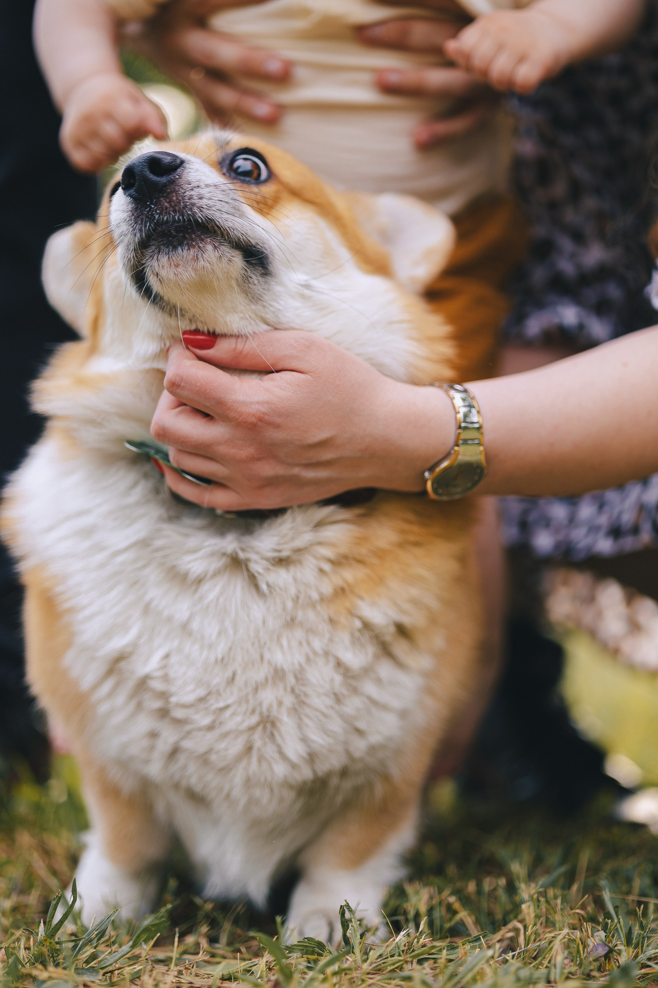 Рита, Денис и Кирилл. Фотограф Таганрог Любимая Надя