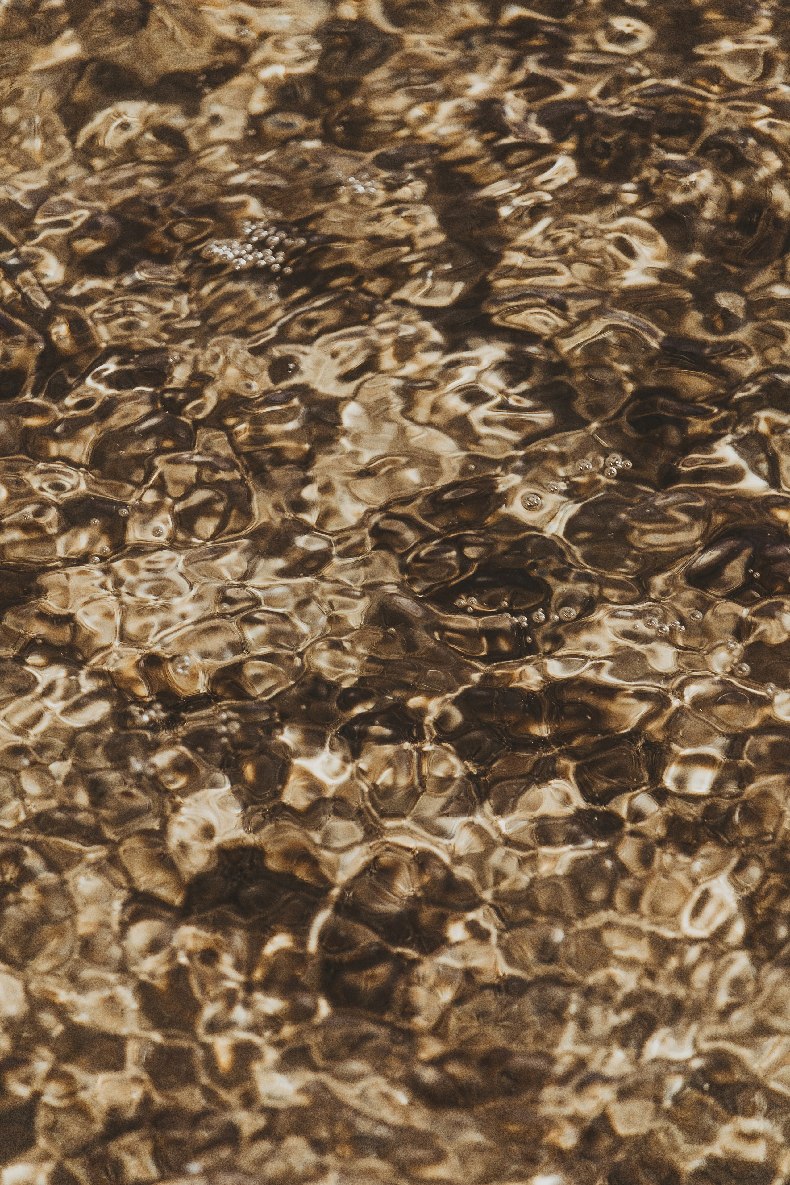 Жизнь. Фотограф Алматы | Весь мир — Никита Колодин