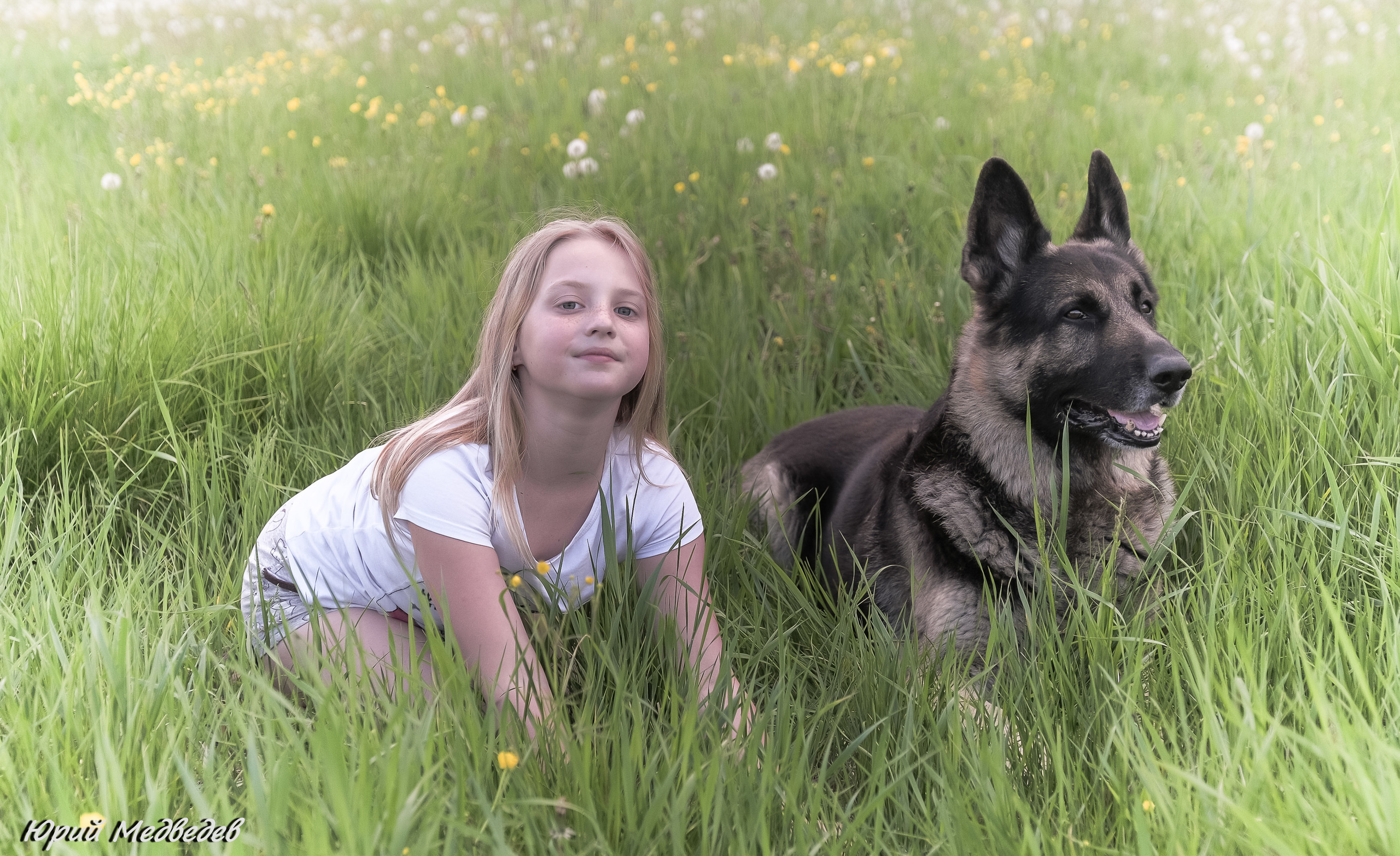 Ваши любимые питомцы. Портретный фотограф в Приозерске Ленинградской области и Санкт-Петерб