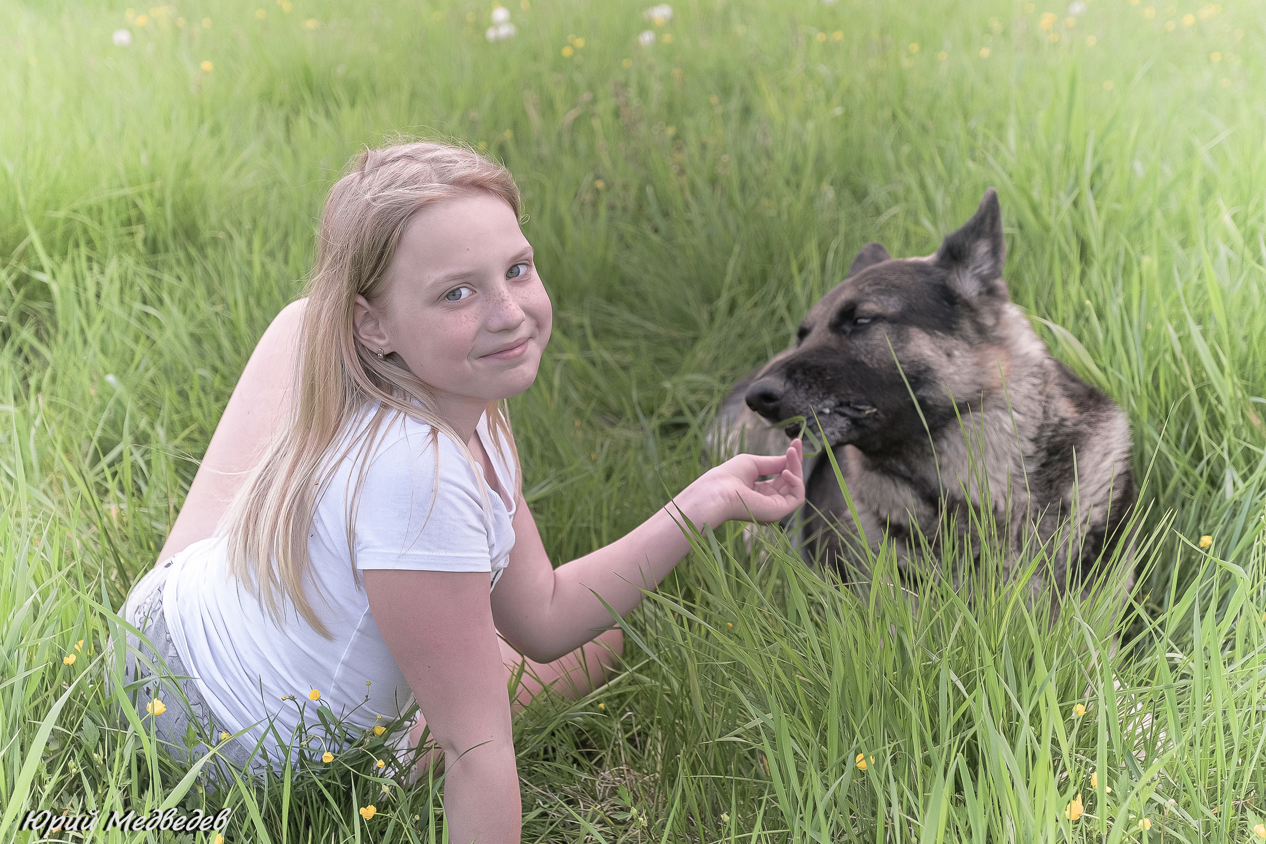 Ваши любимые питомцы. Портретный фотограф в Приозерске Ленинградской области и Санкт-Петерб