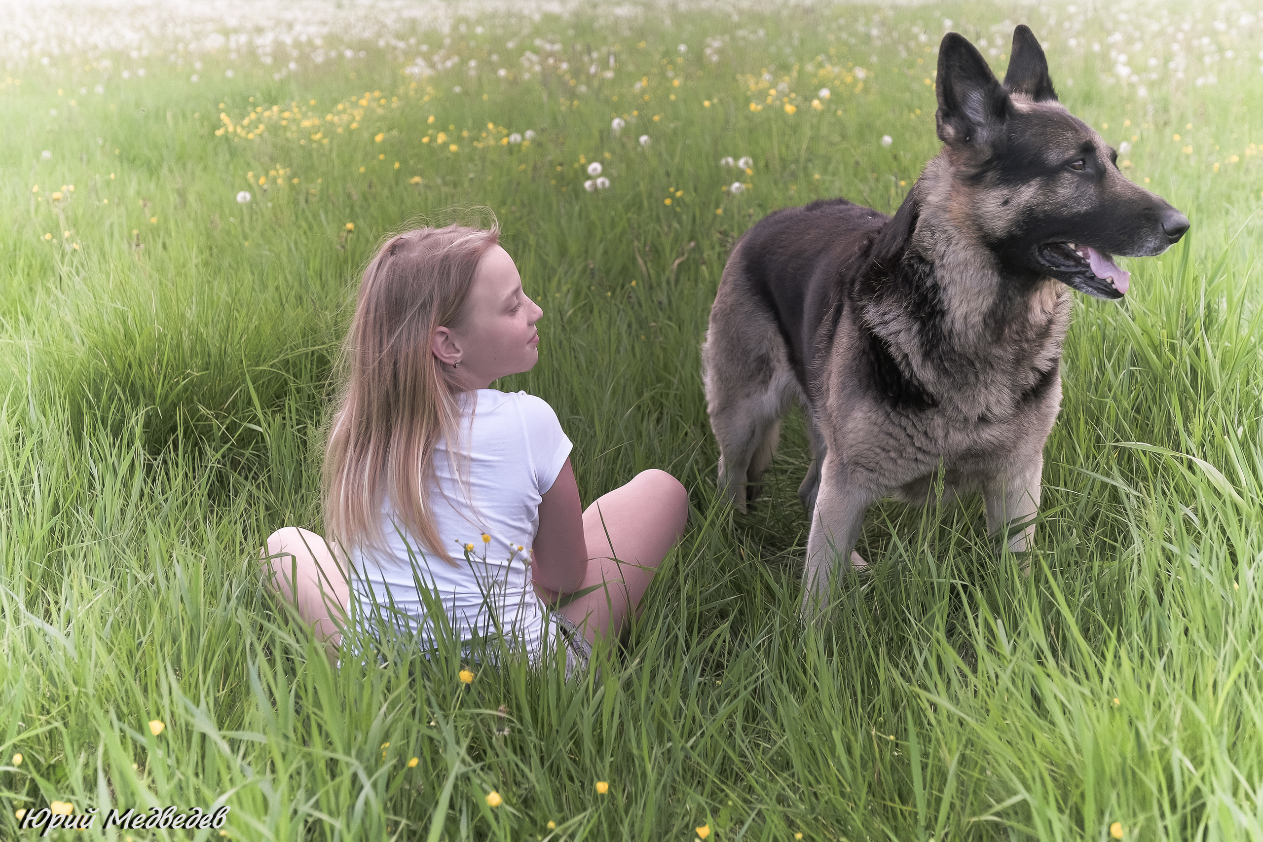 Ваши любимые питомцы. Портретный фотограф в Приозерске Ленинградской области и Санкт-Петерб