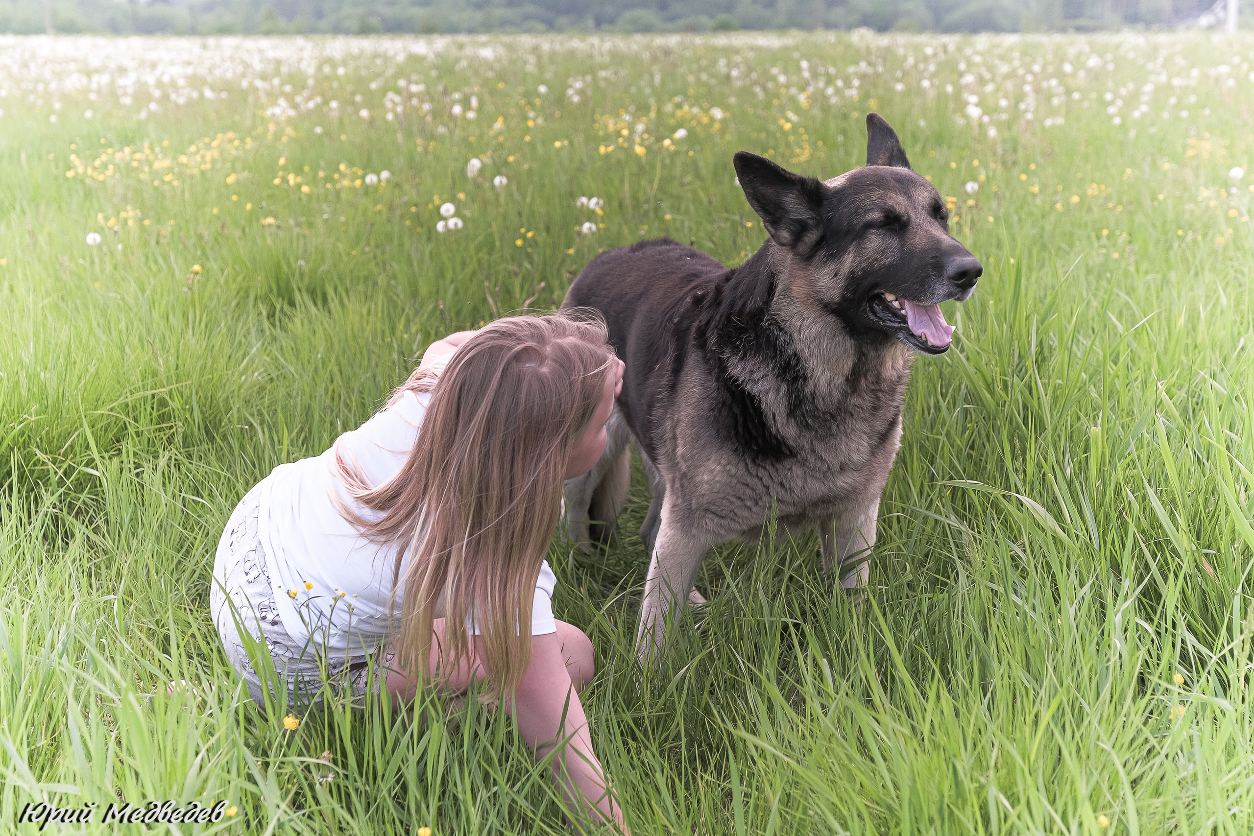 Ваши любимые питомцы. Портретный фотограф в Приозерске Ленинградской области и Санкт-Петерб