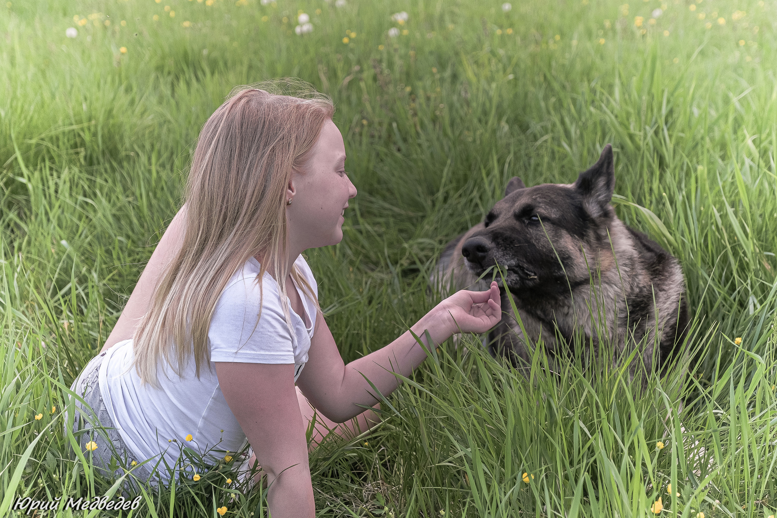 Ваши любимые питомцы. Портретный фотограф в Приозерске Ленинградской области и Санкт-Петерб