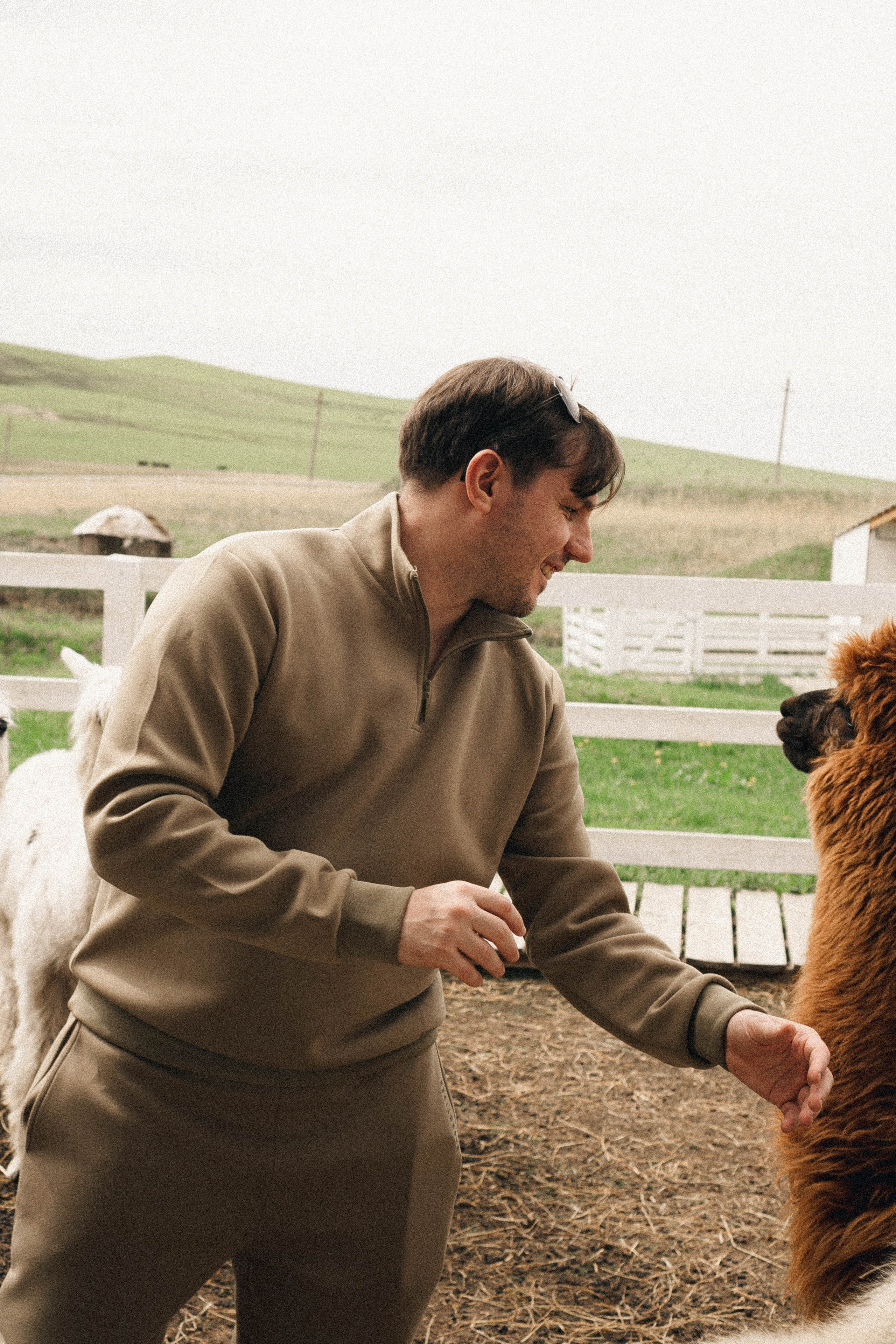 Ферма Альпак. Профессиональный фотограф, Санкт-Петербург — Виктория Богомолова