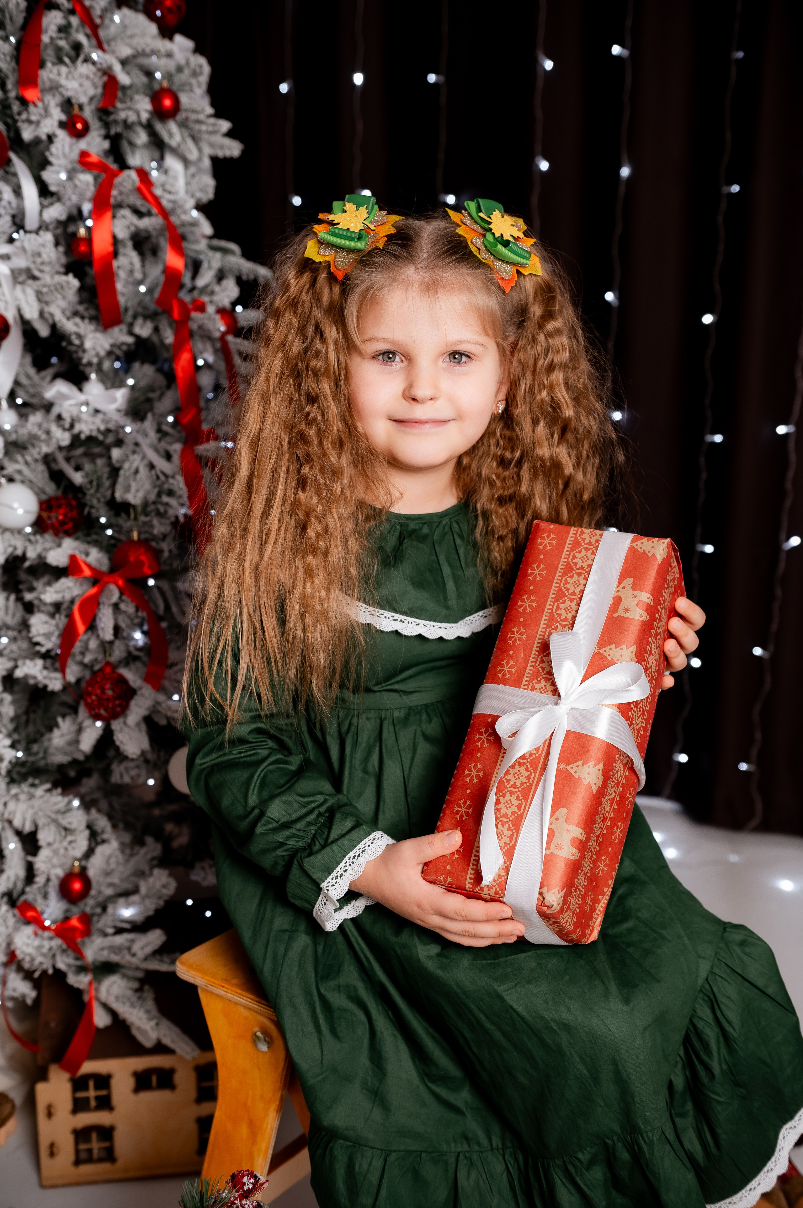 Фотопроект Новый год 2026. Фотограф г. Карталы Гаврушева Елизавета