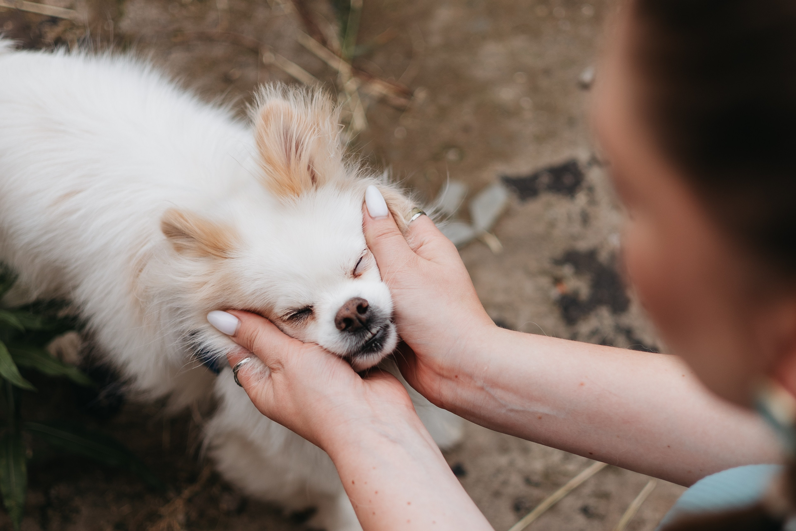 Александра и Айс. Фотограф животных Евгения Верцинская