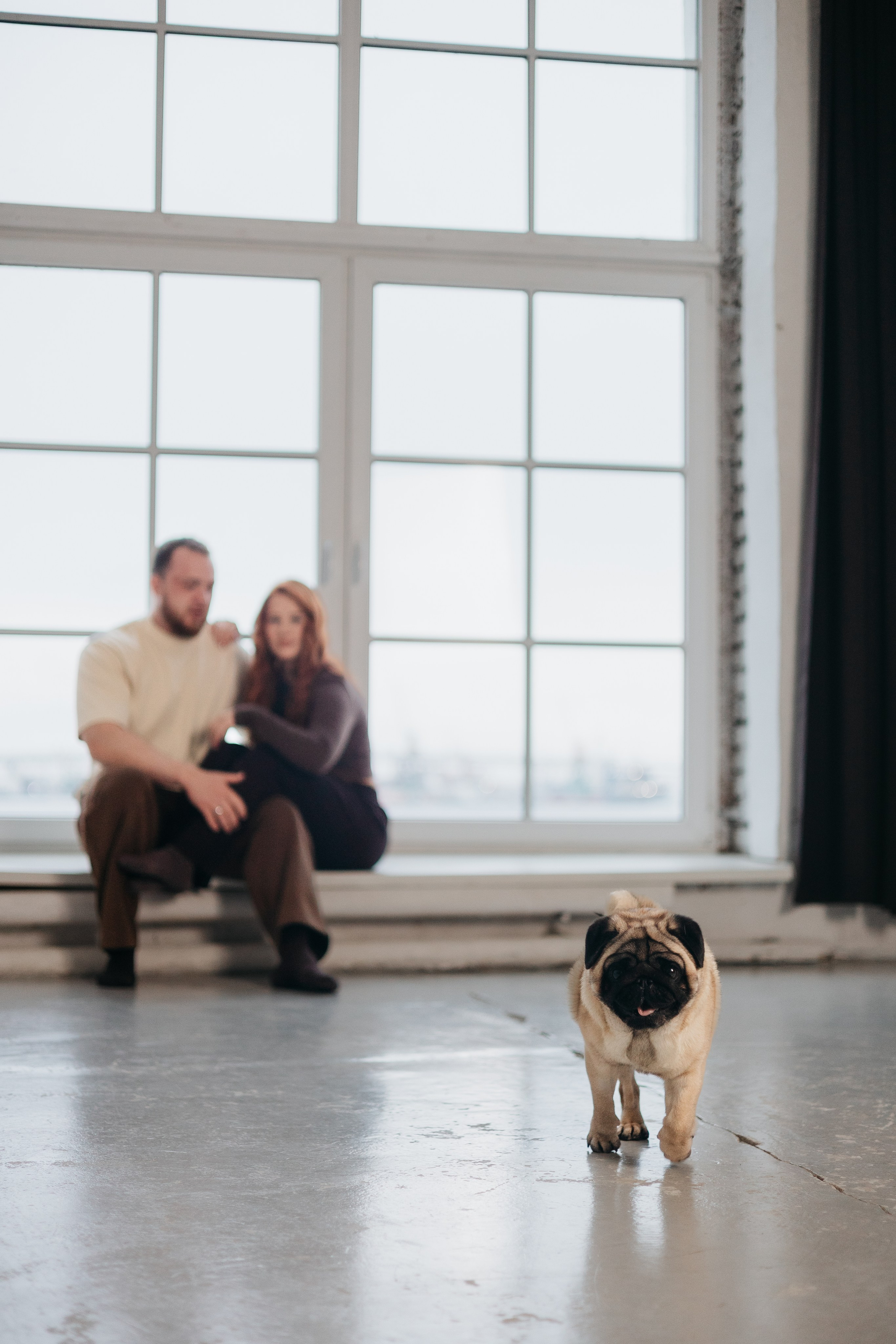Полина, Артем и Гарри. Фотограф животных Евгения Верцинская