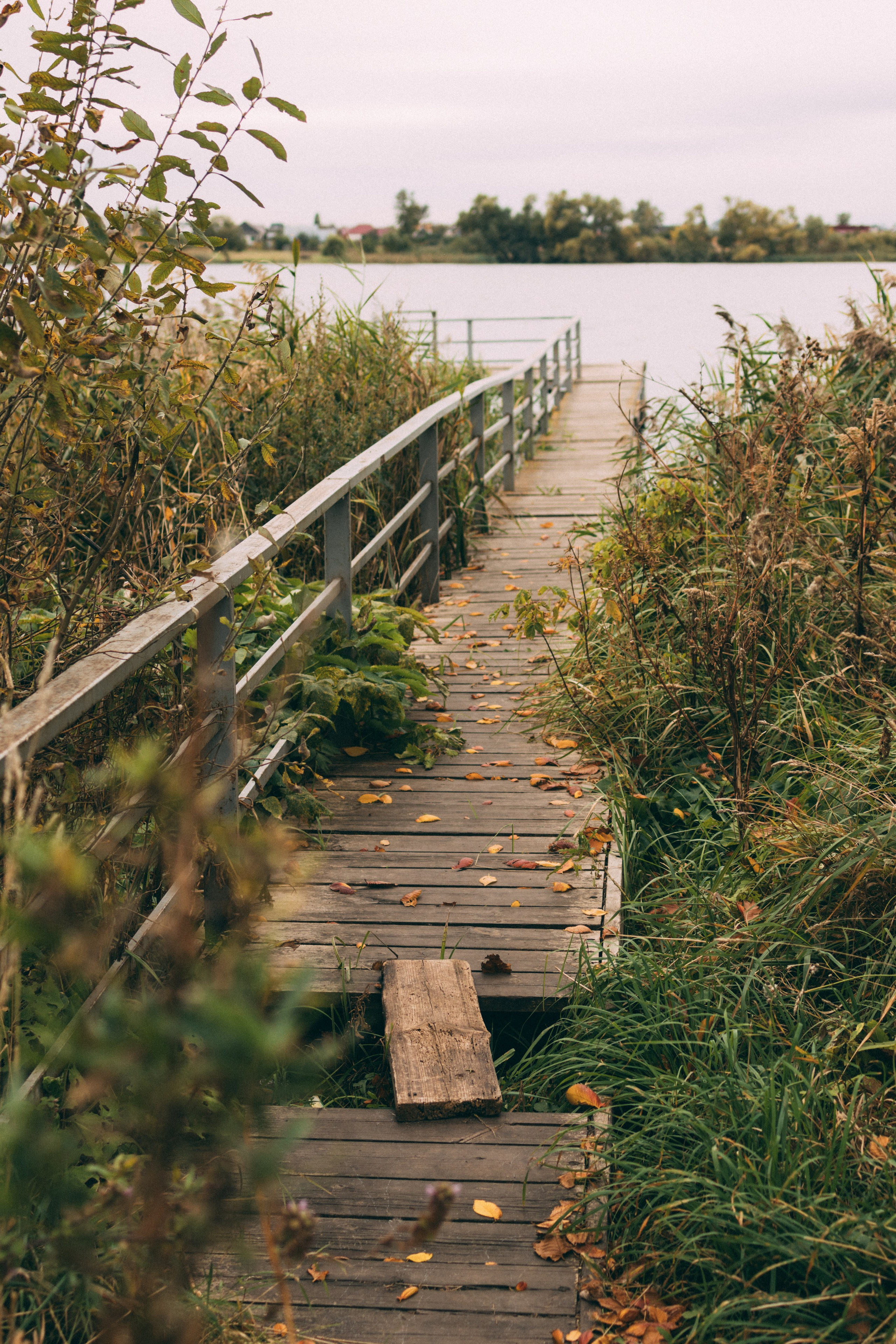 Главное процесс, а не улов. Фотограф Ирина Панина