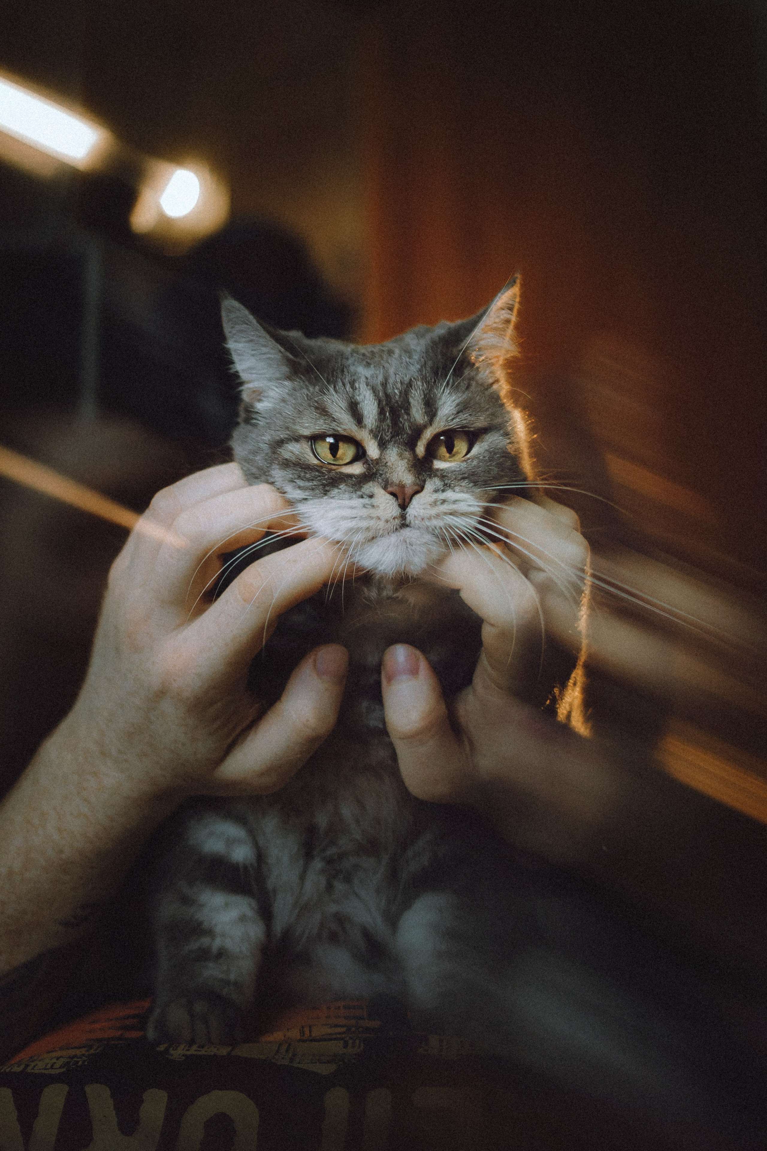 Яся и ее семья