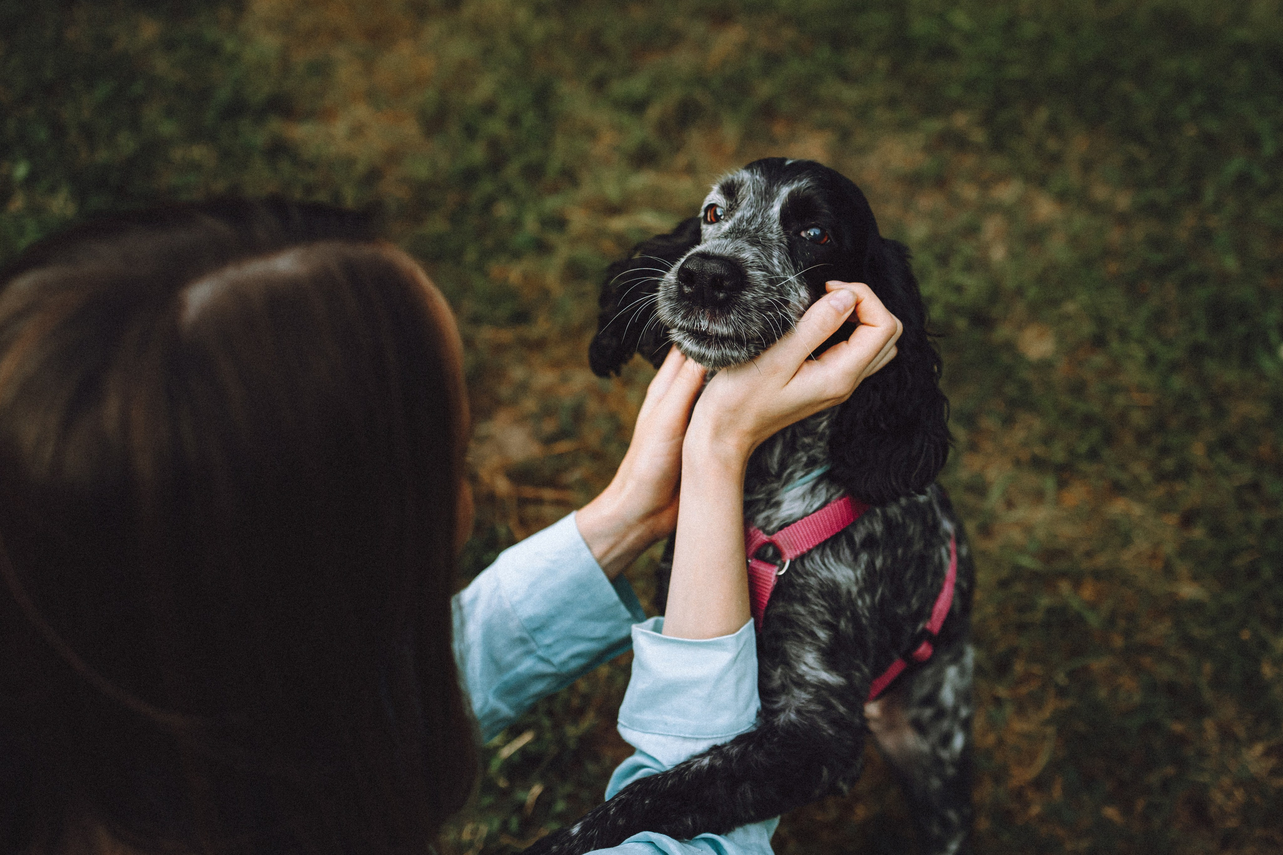 Маша и Ларри
