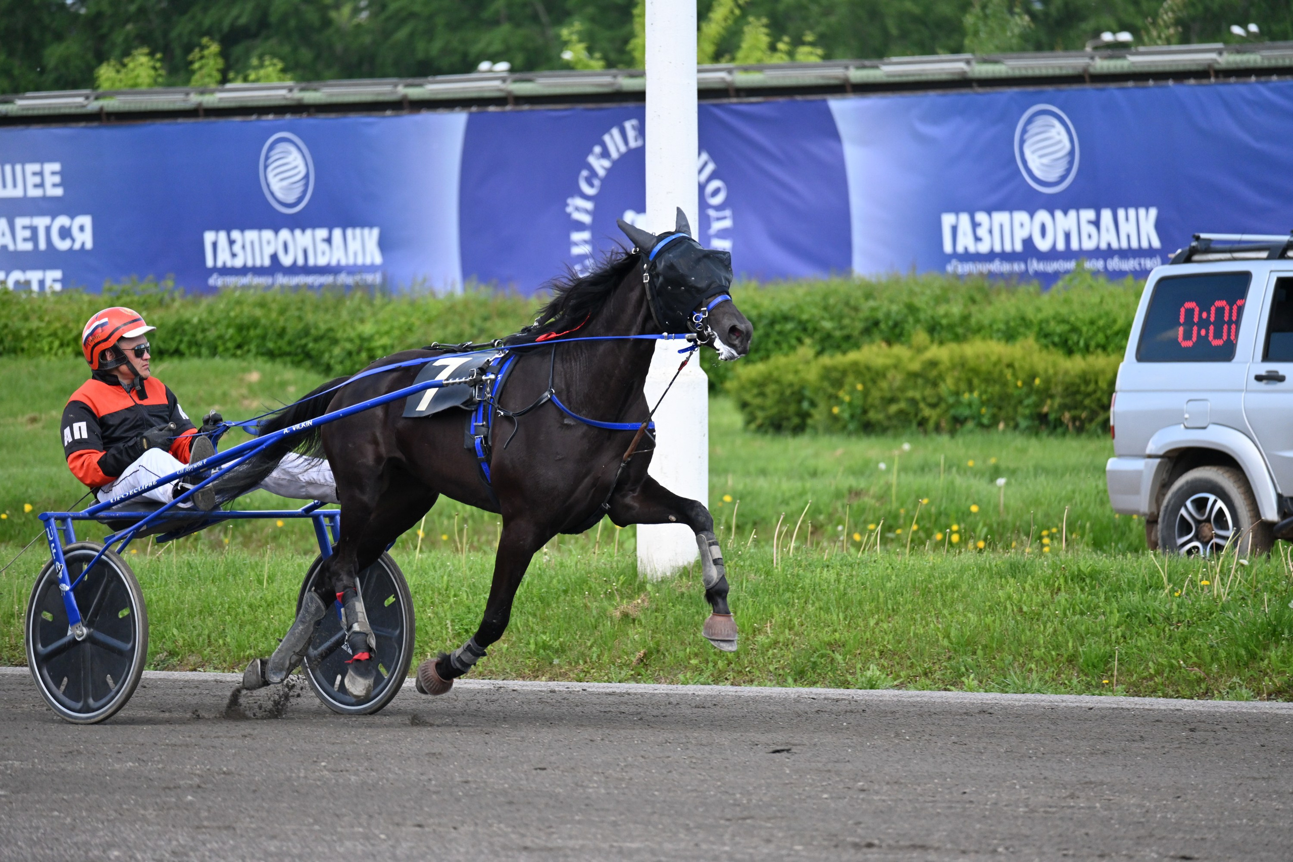Московский ипподром. Fotolux