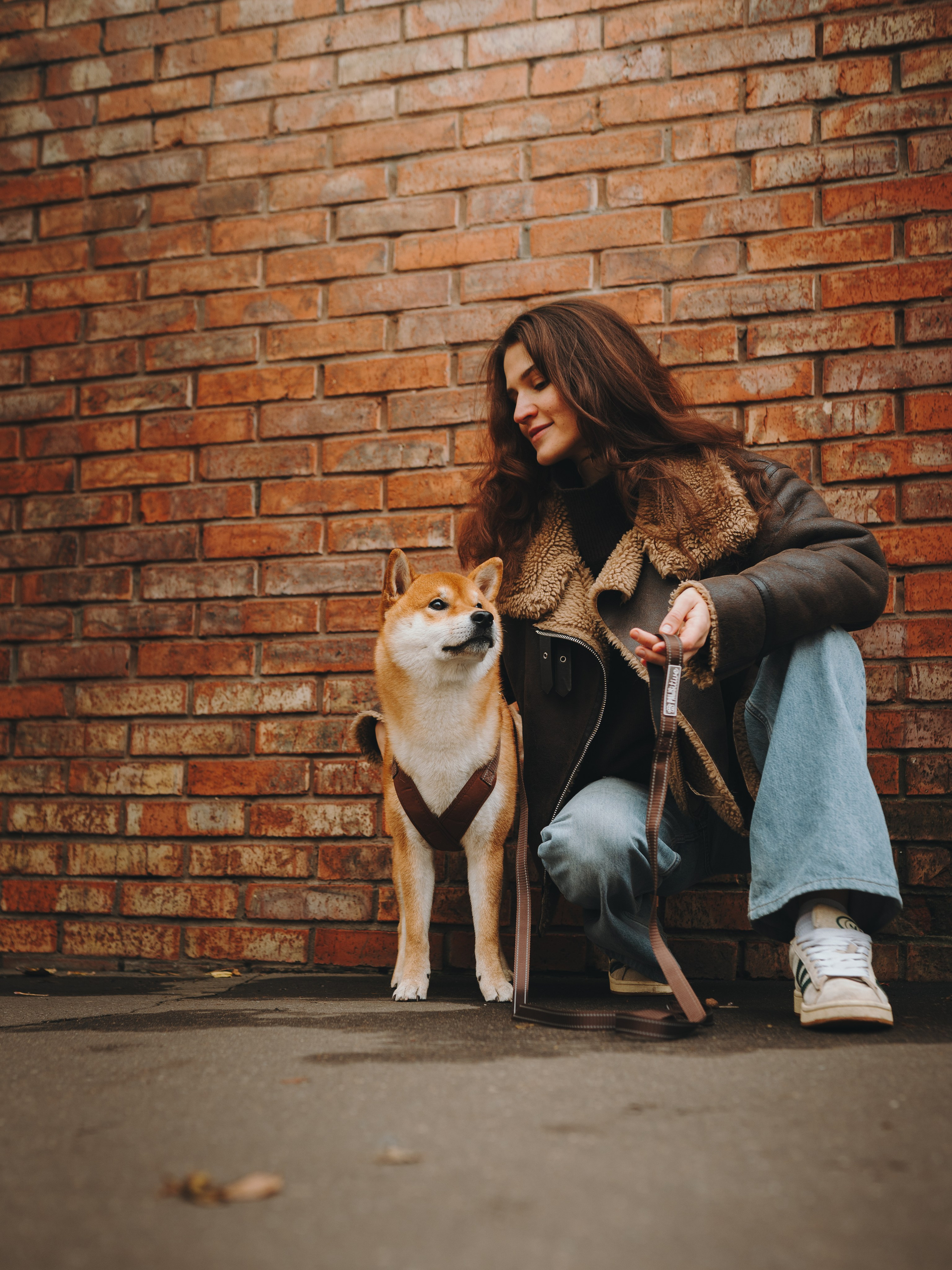 Pawsitive. Семейный фотограф анималист Ананьева Мария — Москва