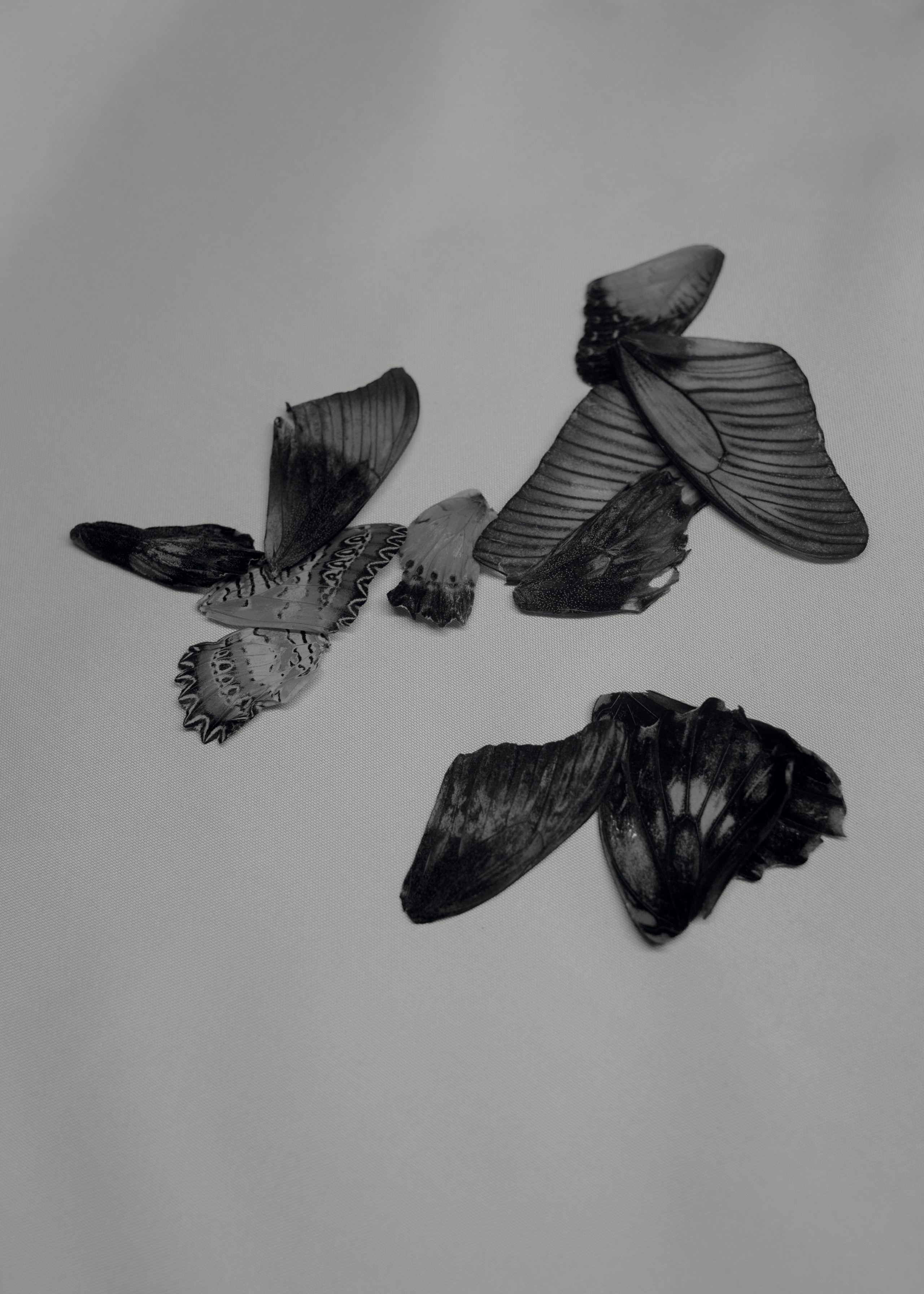 I’m Tired of Being Myself. Photographer Slava Kostylev