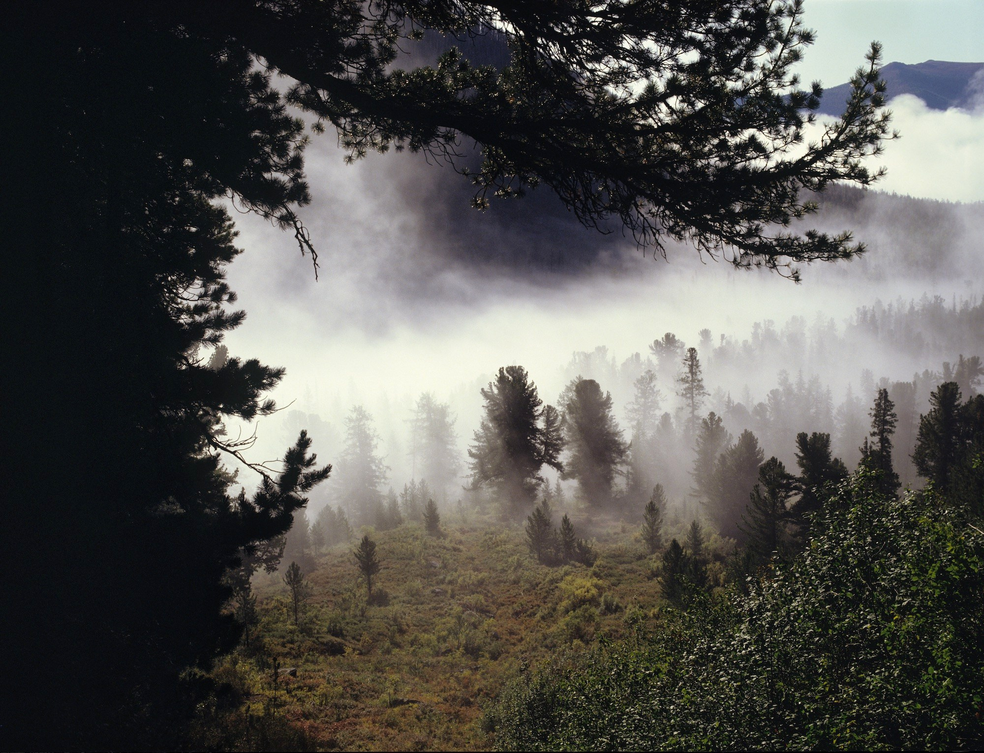 Саяны. ВАДИМ ГИППЕНРЕЙТЕР — ВЕЛИКИЙ ФОТОГРАФ ЗЕМЛИ РУССКОЙ