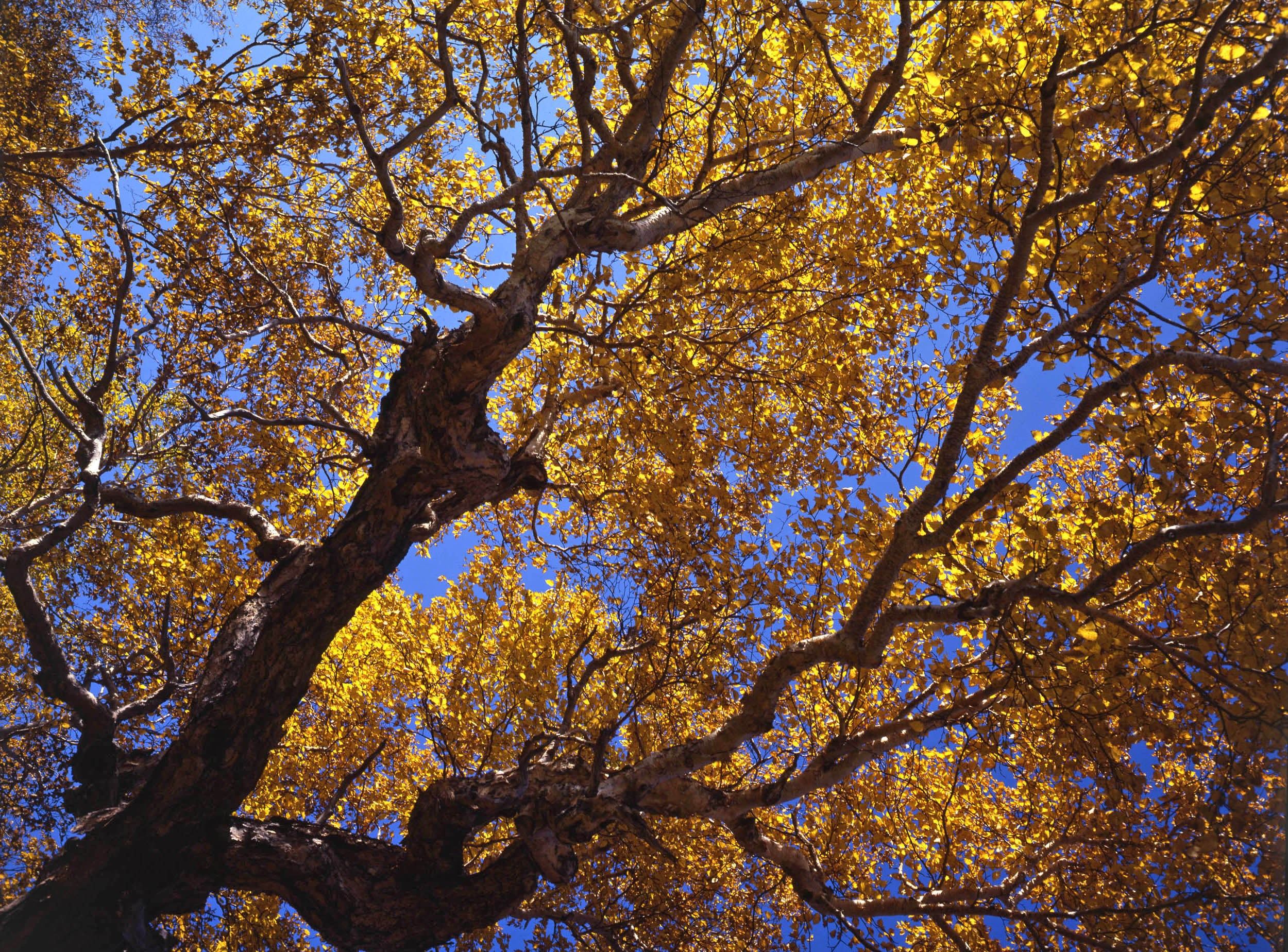 Курильские острова. ВАДИМ ГИППЕНРЕЙТЕР — ВЕЛИКИЙ ФОТОГРАФ ЗЕМЛИ РУССКОЙ