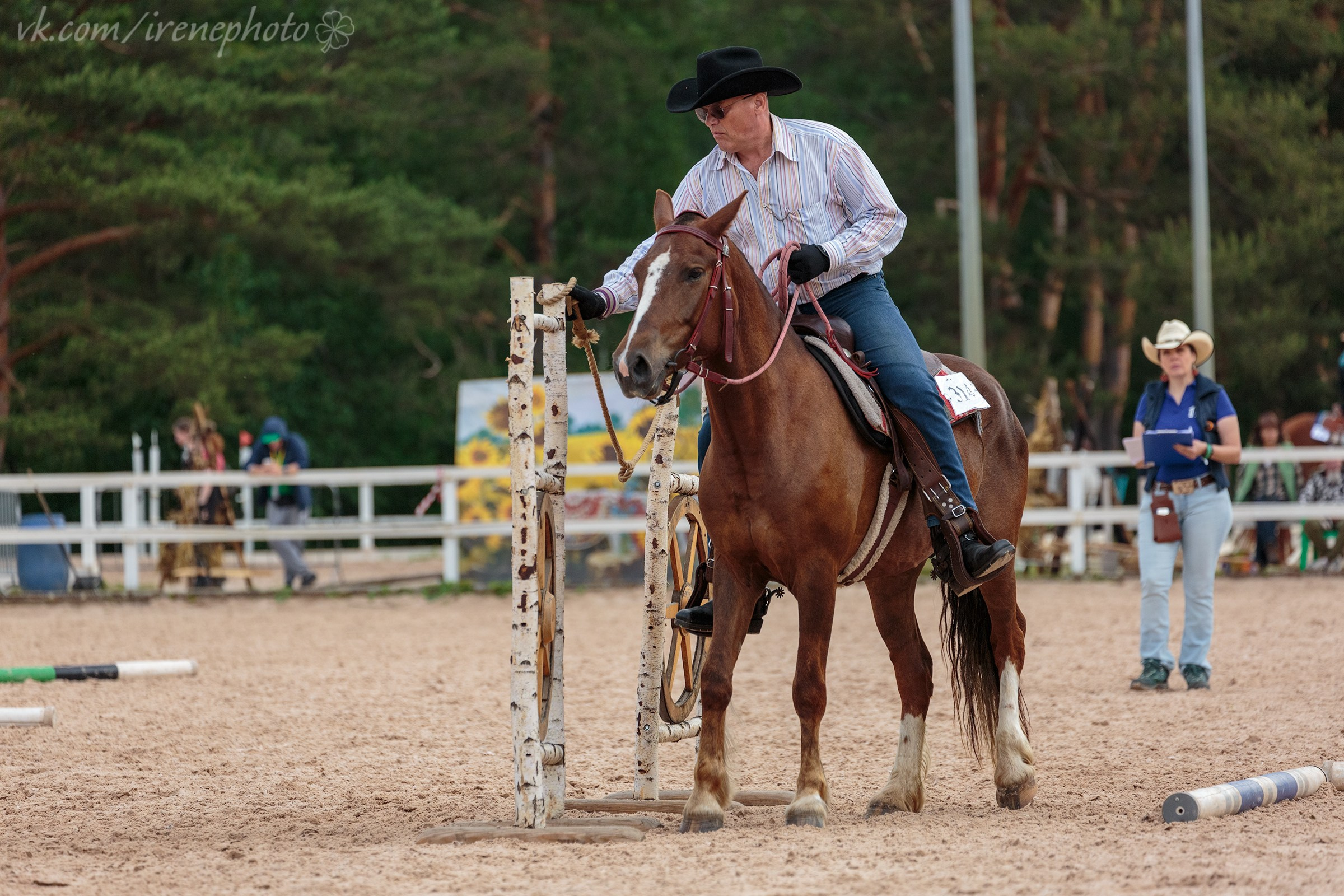 Иппосфера 2024. Irenephoto.ru