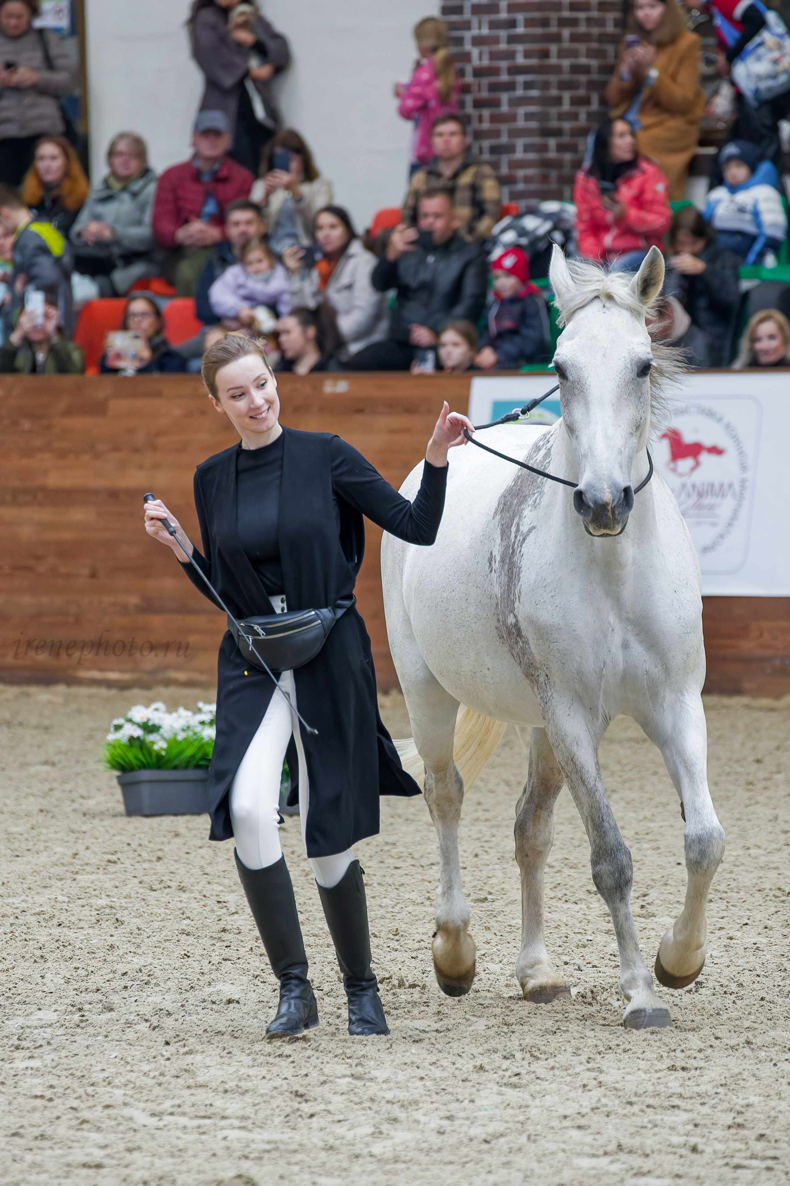 Конная Россия 2024. Irenephoto.ru