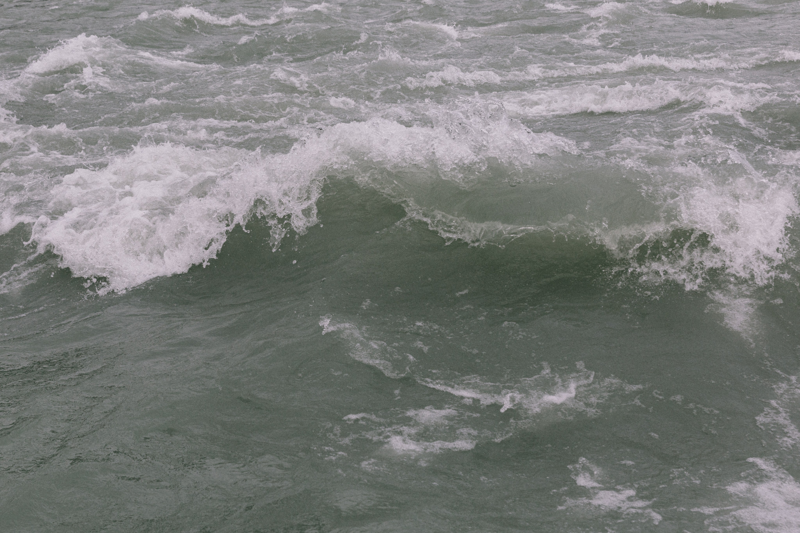 Алтай, природа и эстетика. Александр Чернин. Семейный и событийный фотограф