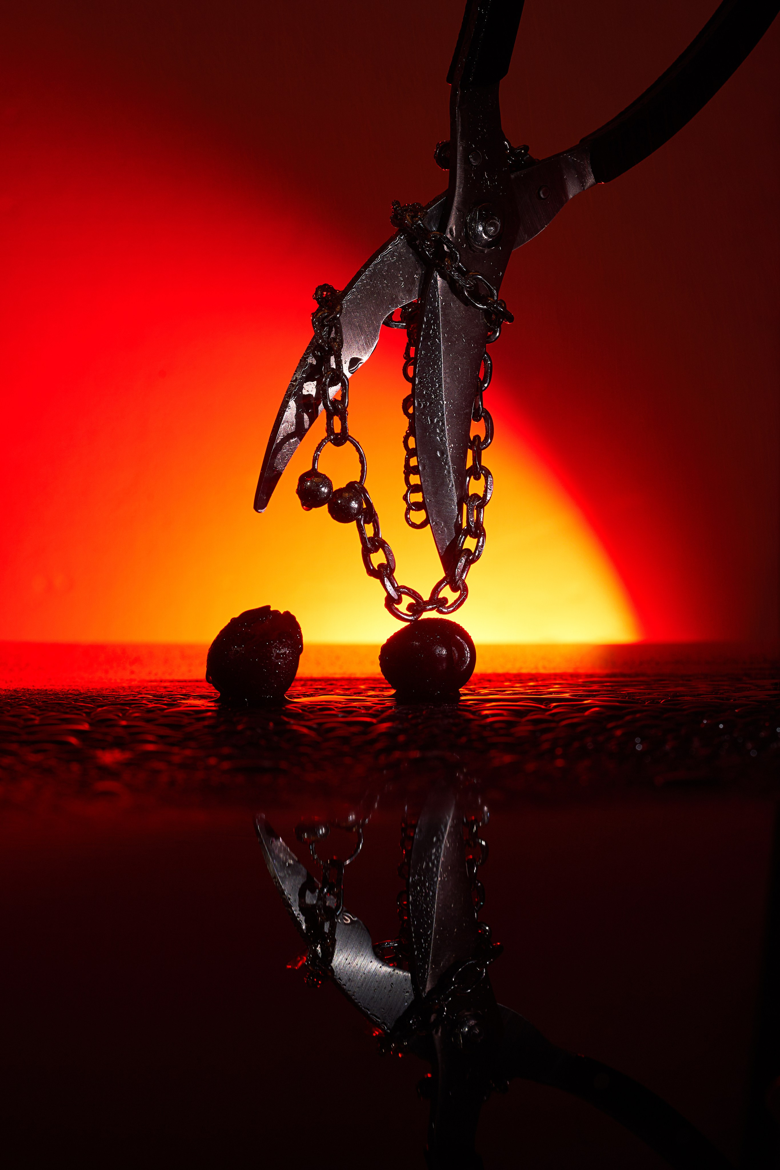 Предметка. Olga Demidenko Photographer Фотограф Ольга Демиденко