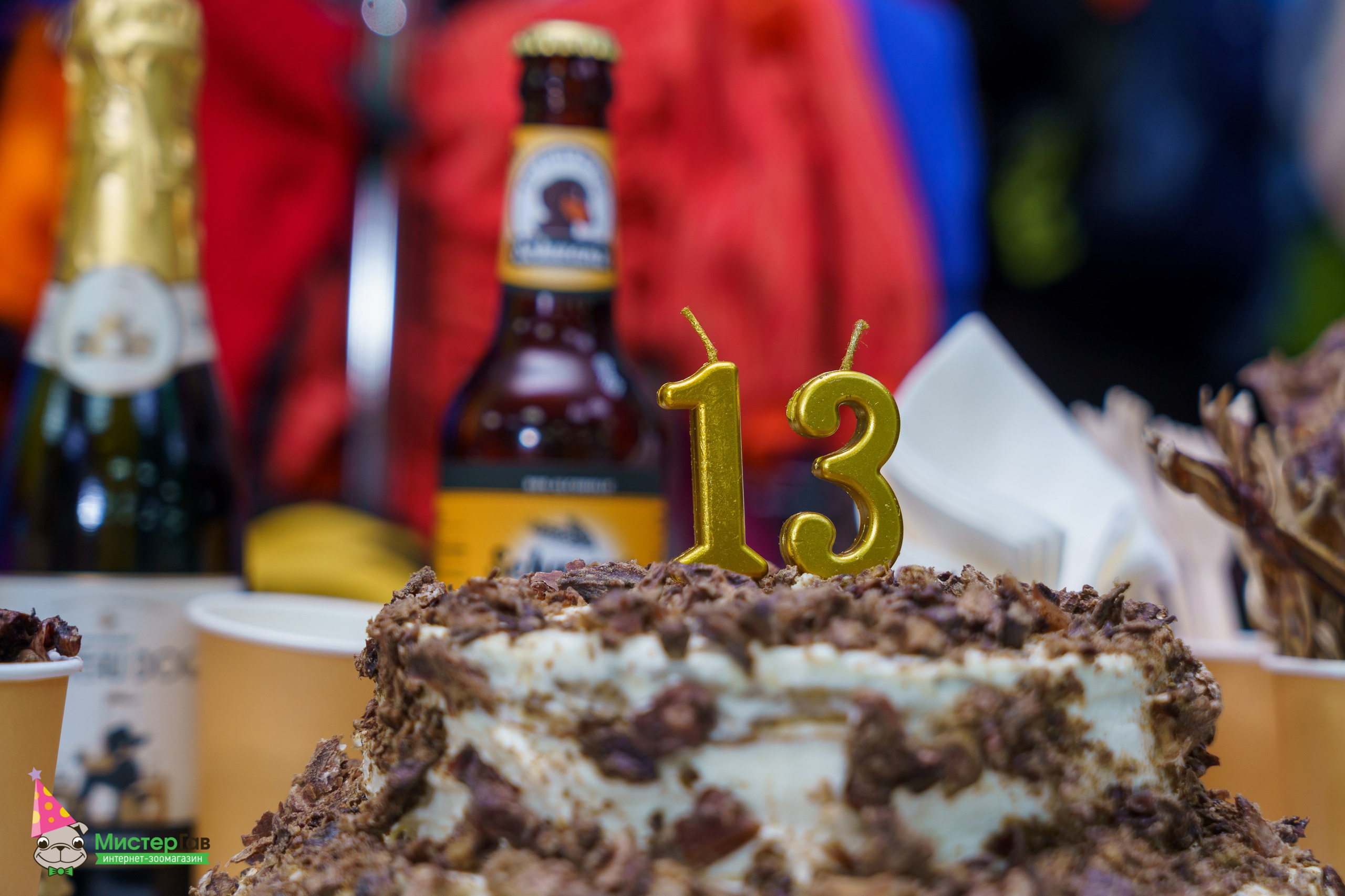 Мистер Гав -13 лет!. Фотограф Челябинск · Ольга Серебрякова