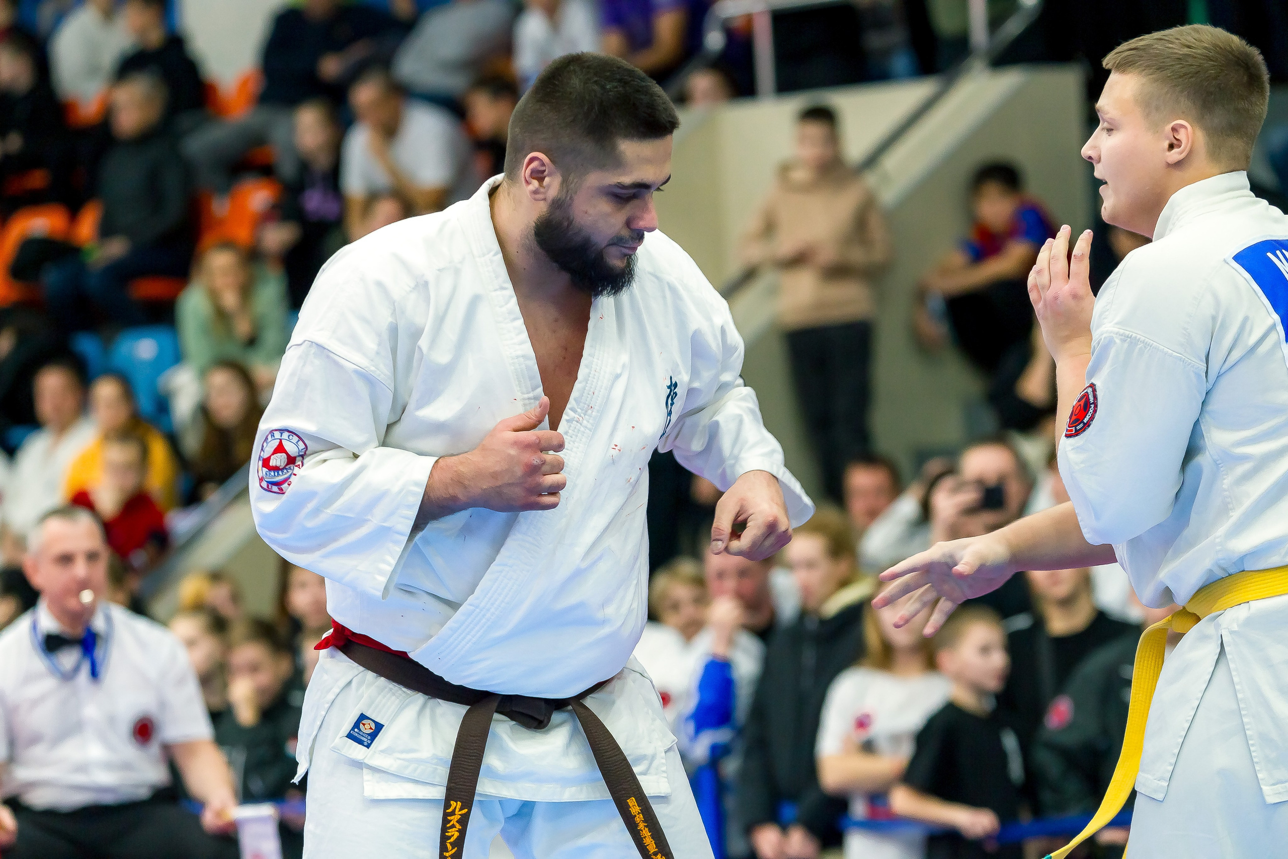 Соревнования по Киокушин памяти С. Увицкого. Репортажная съемка в Москве и области. Анималистика