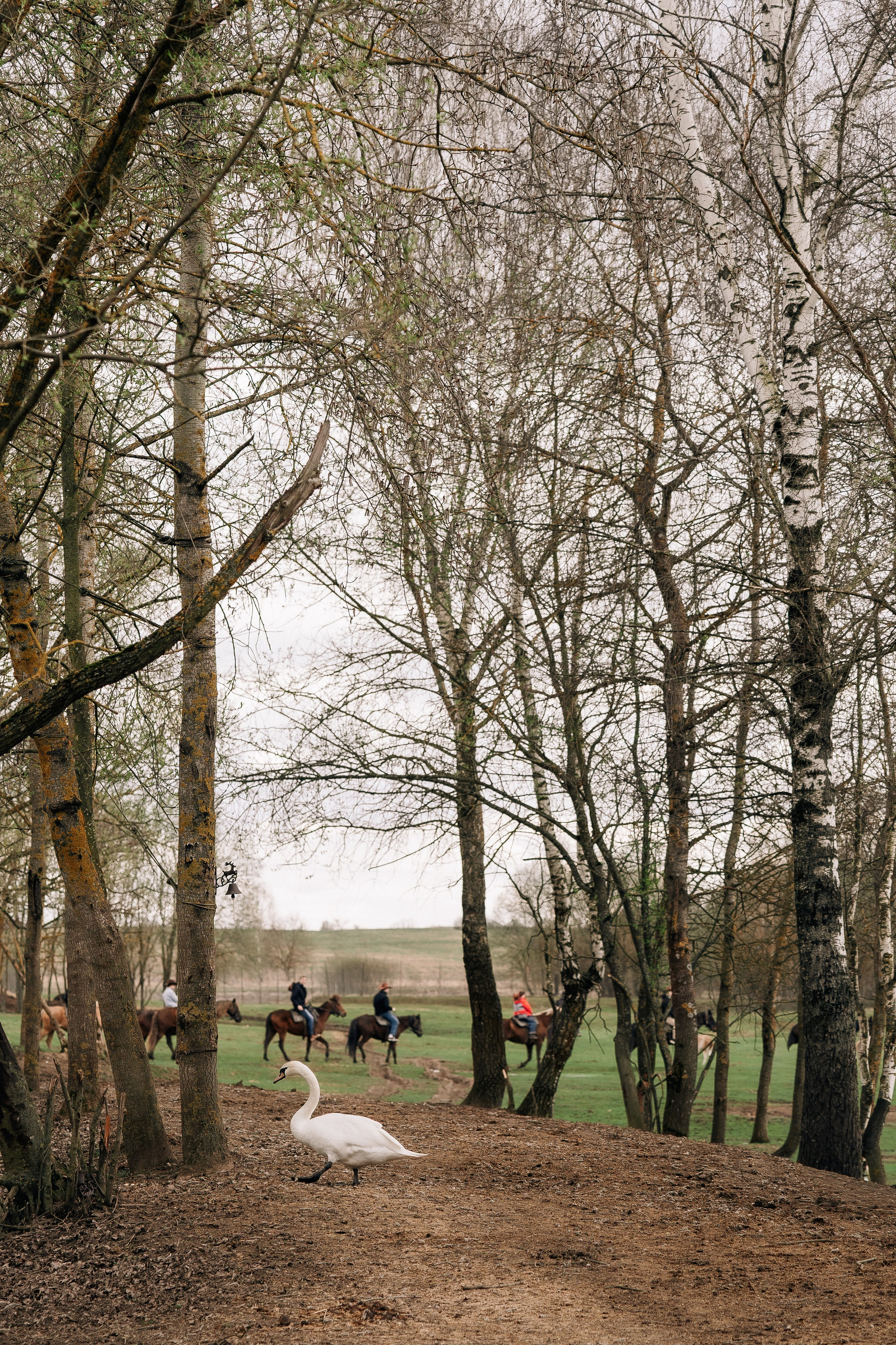 Фотосъемка мероприятия в ранчо Аванпост. Свадебный и семейный фотограф в Москве и МО Геннадий Туманцев