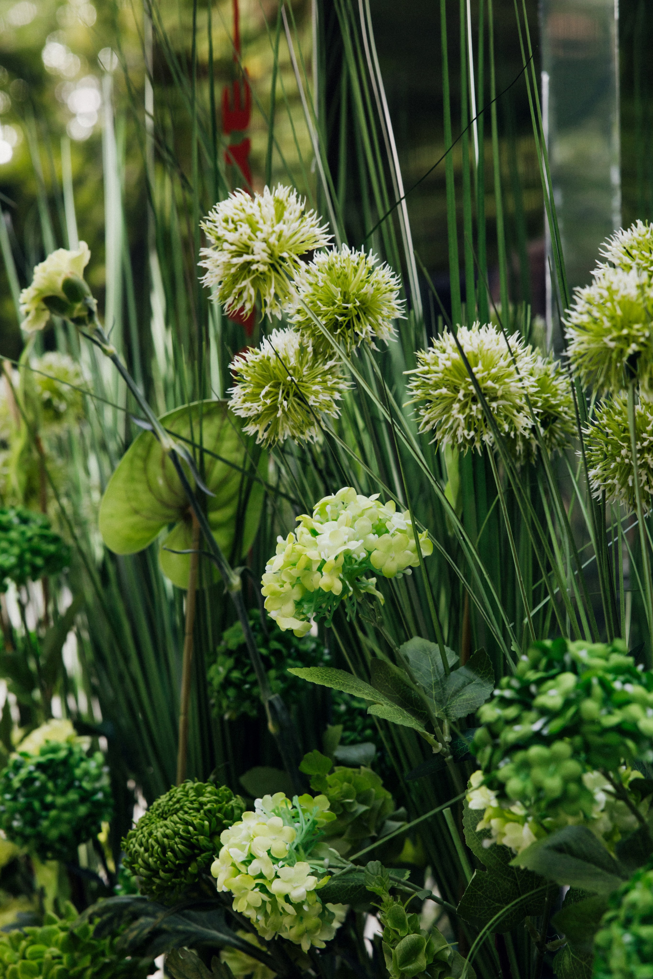 Денис и Елизавета. Фотограф в Красноярске