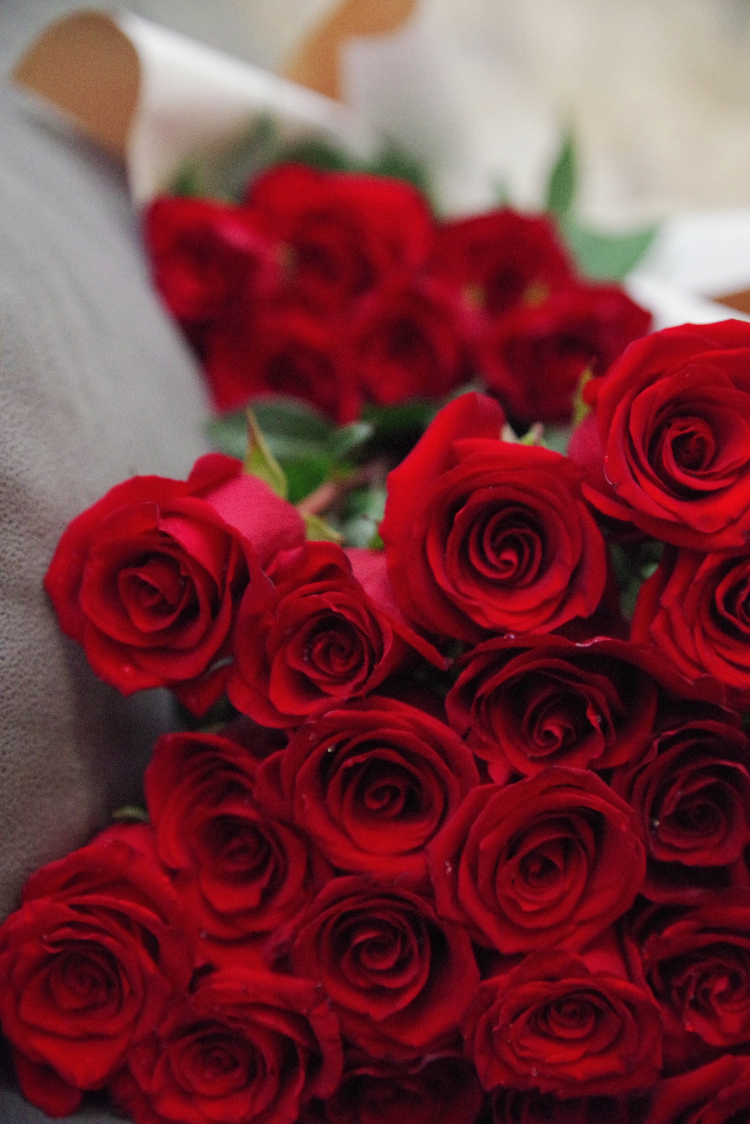 Shako & Tina. Портретный фотограф Денис Милютин