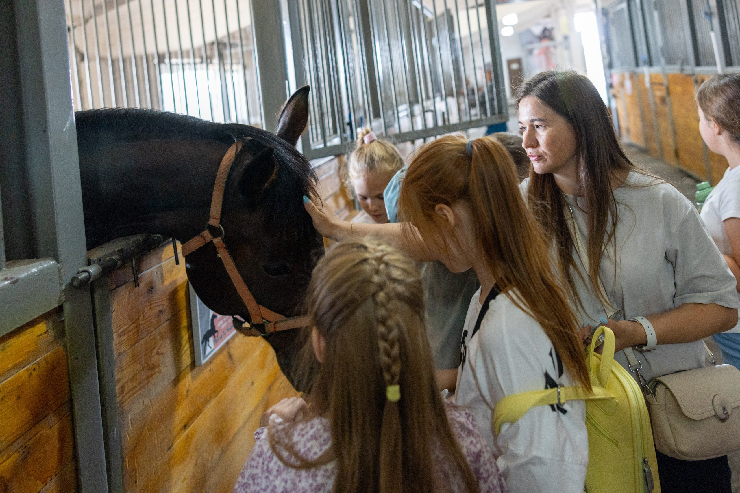 Поездка на поле Кулеково. Фотограф в Туле Крупский АнДРей. Фотостудия «КАДР71» в Туле