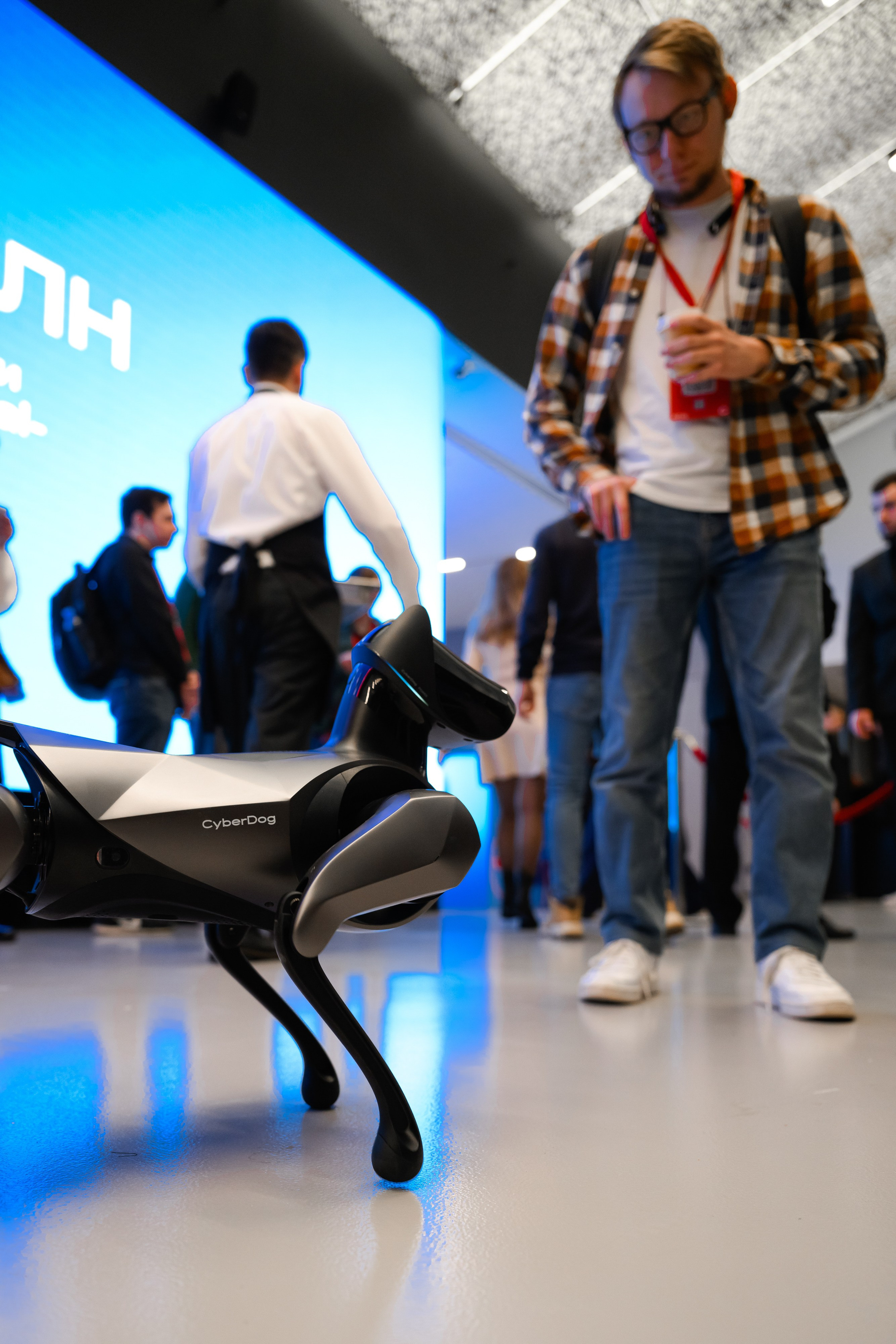 MTS ADS| Большая конференция маркетолога. Портфолио