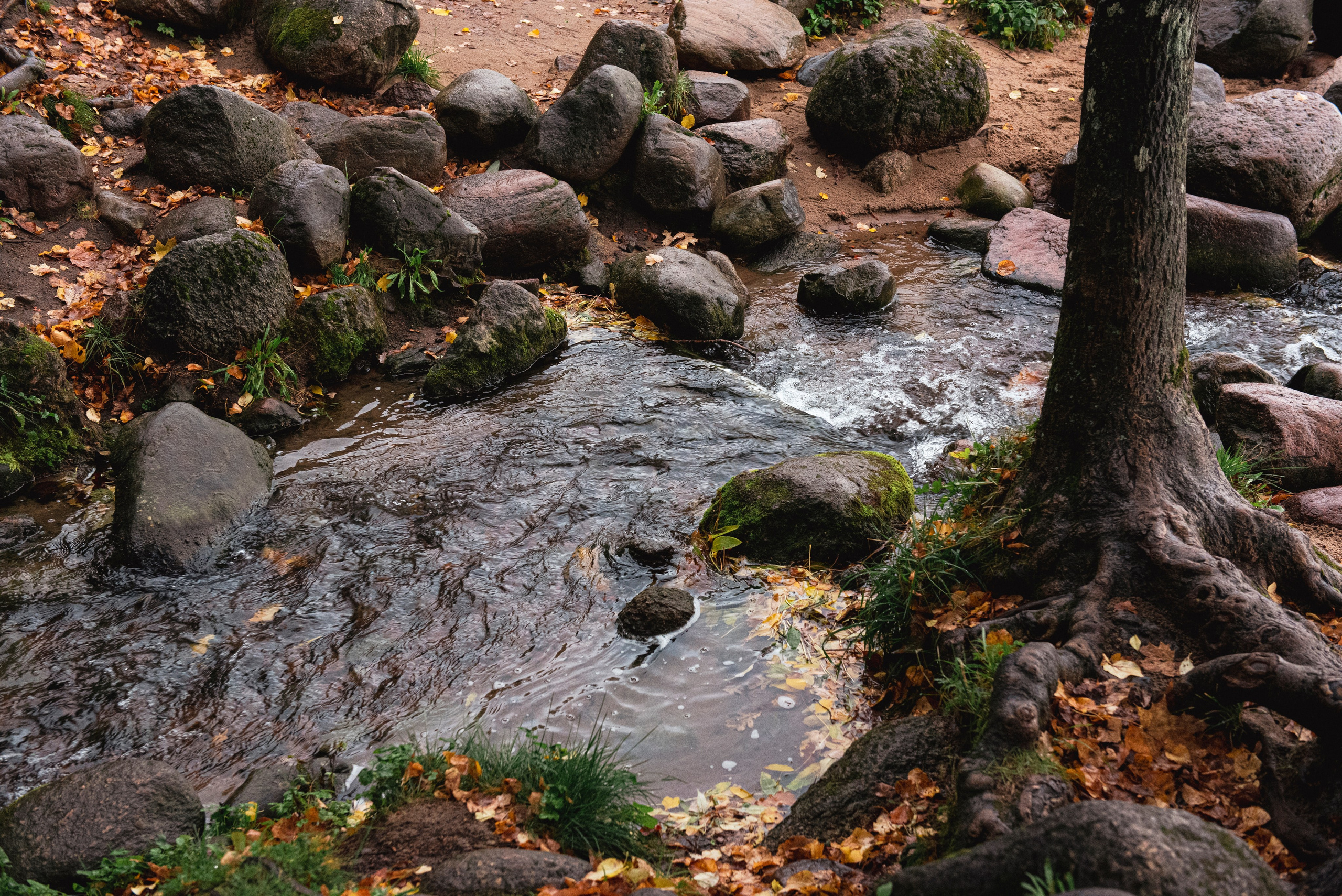 Петергоф. Портретный и архитектурный фотограф в Москве и Санкт-Петербурге