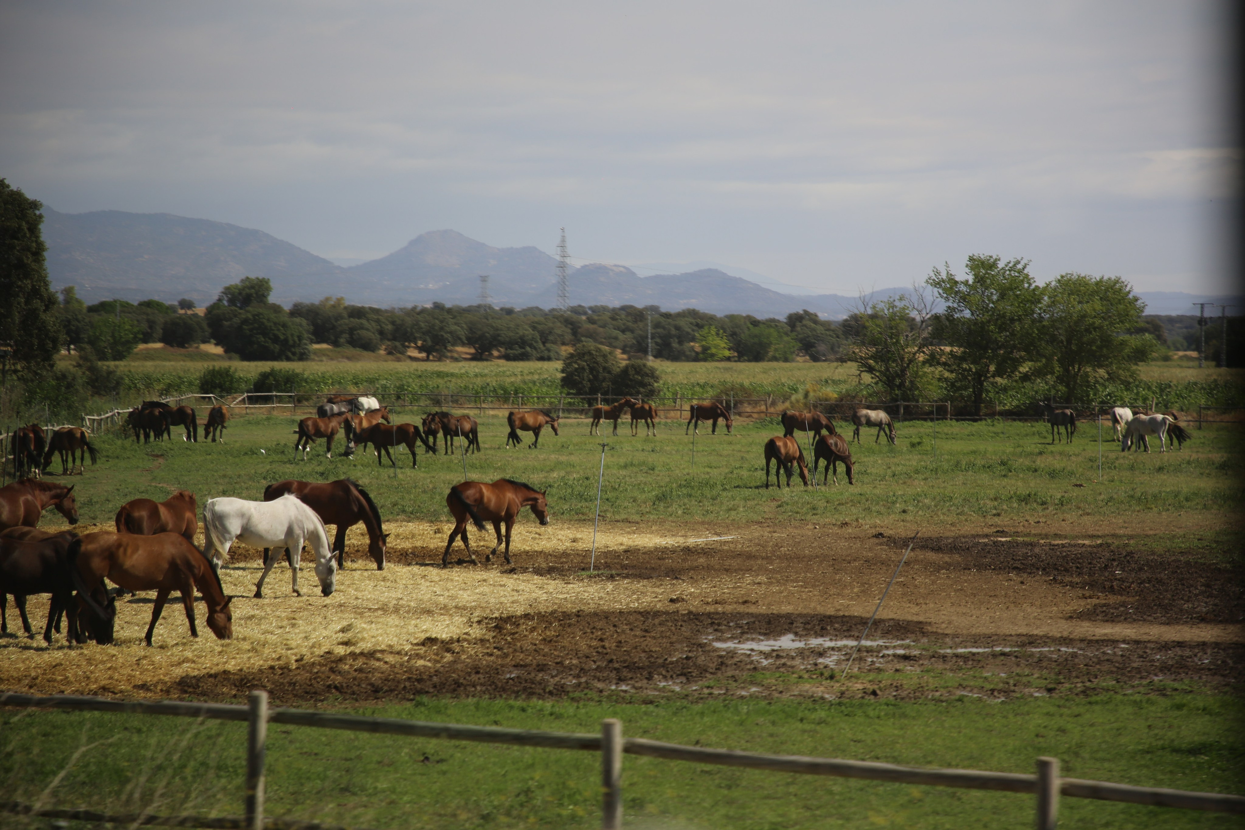 Lisbon, Portugal. Andrey Filippov Photographer