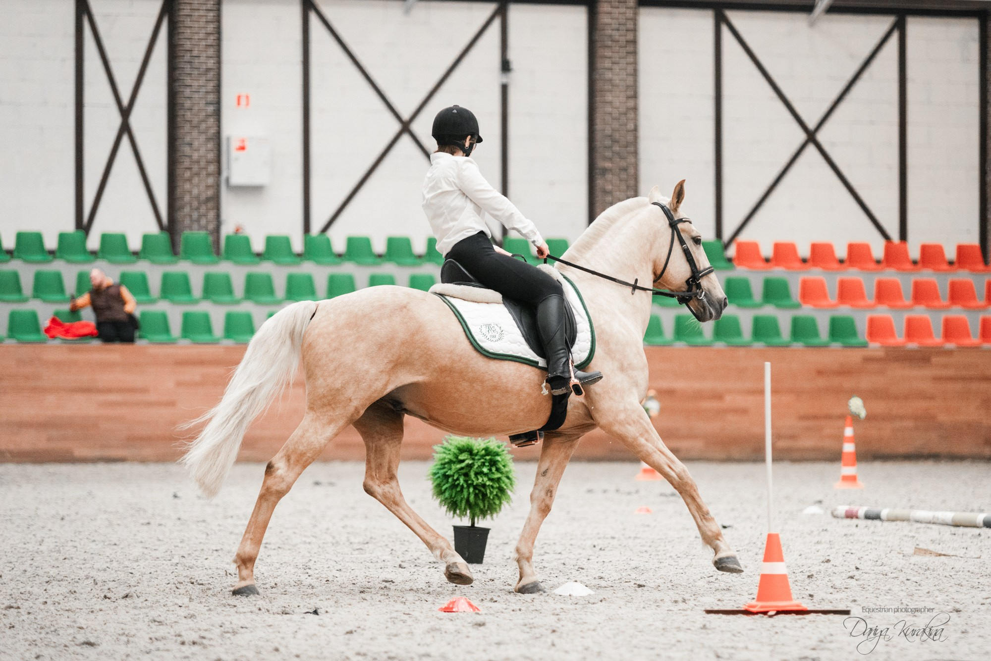 8-я международная выставка Конная Россия. Конный фотограф Куракина Дарья • Фотосессии с лошадьми