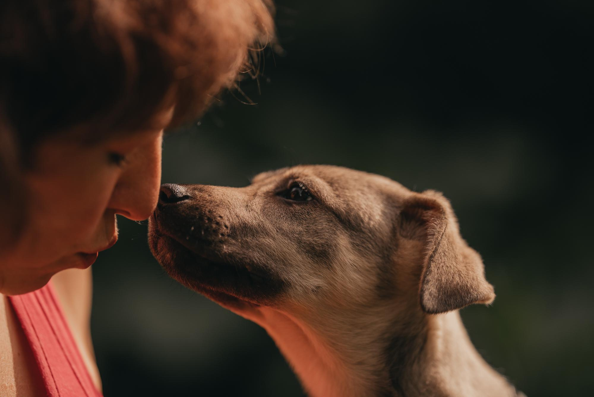 Are they looking for or have found a family. Real moments between people and their dogs