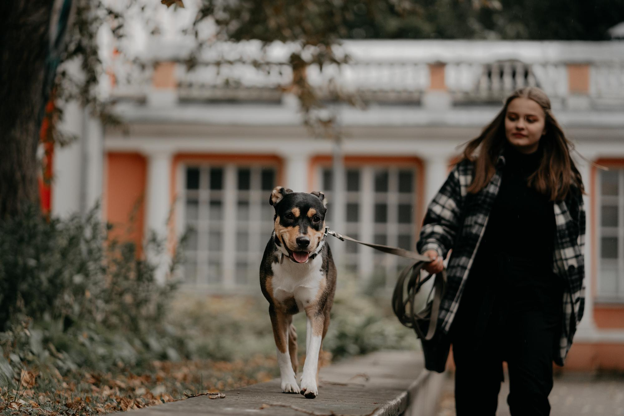 Elena and Molli. Real moments between people and their dogs