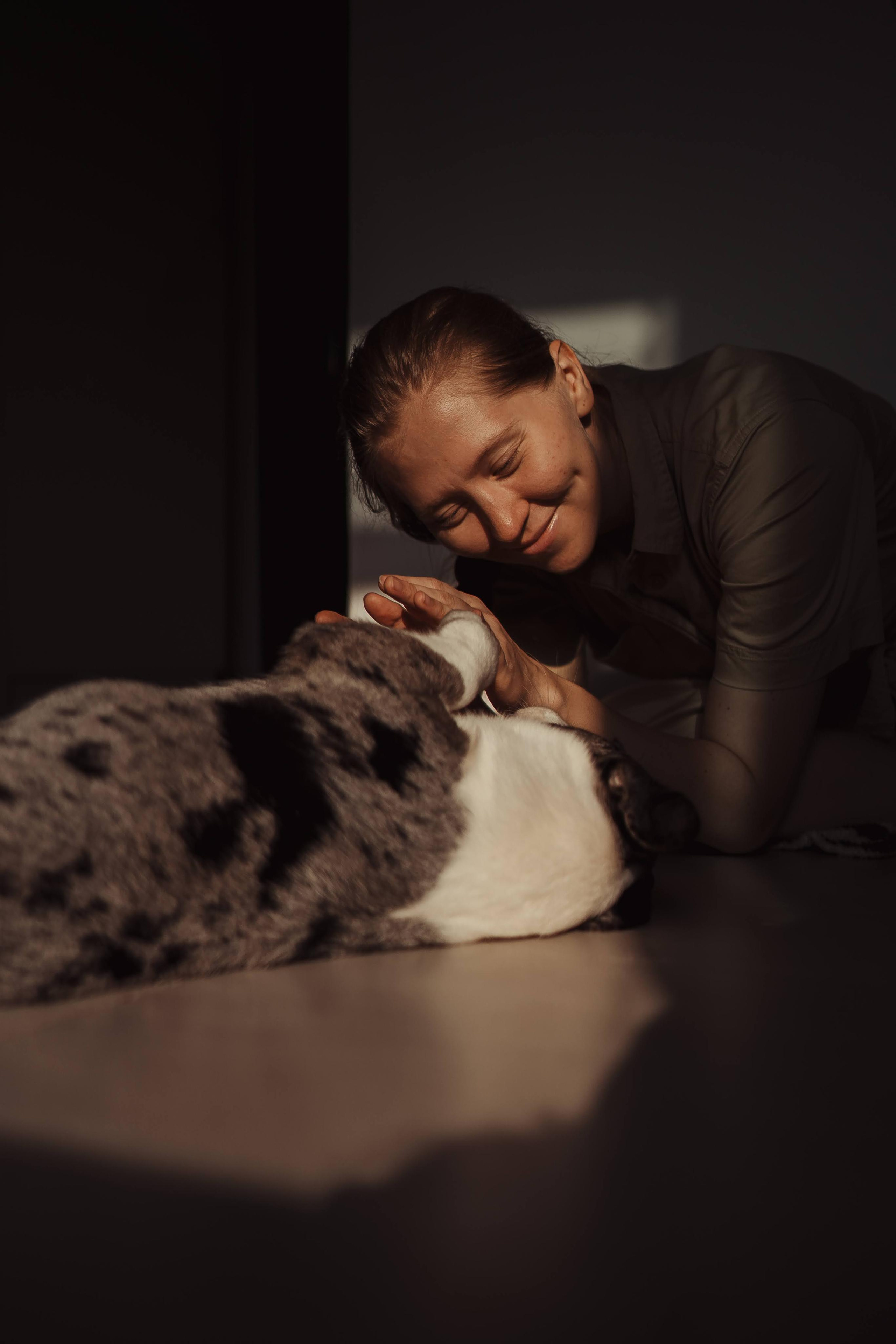 Family photo shoot. Real moments between people and their dogs