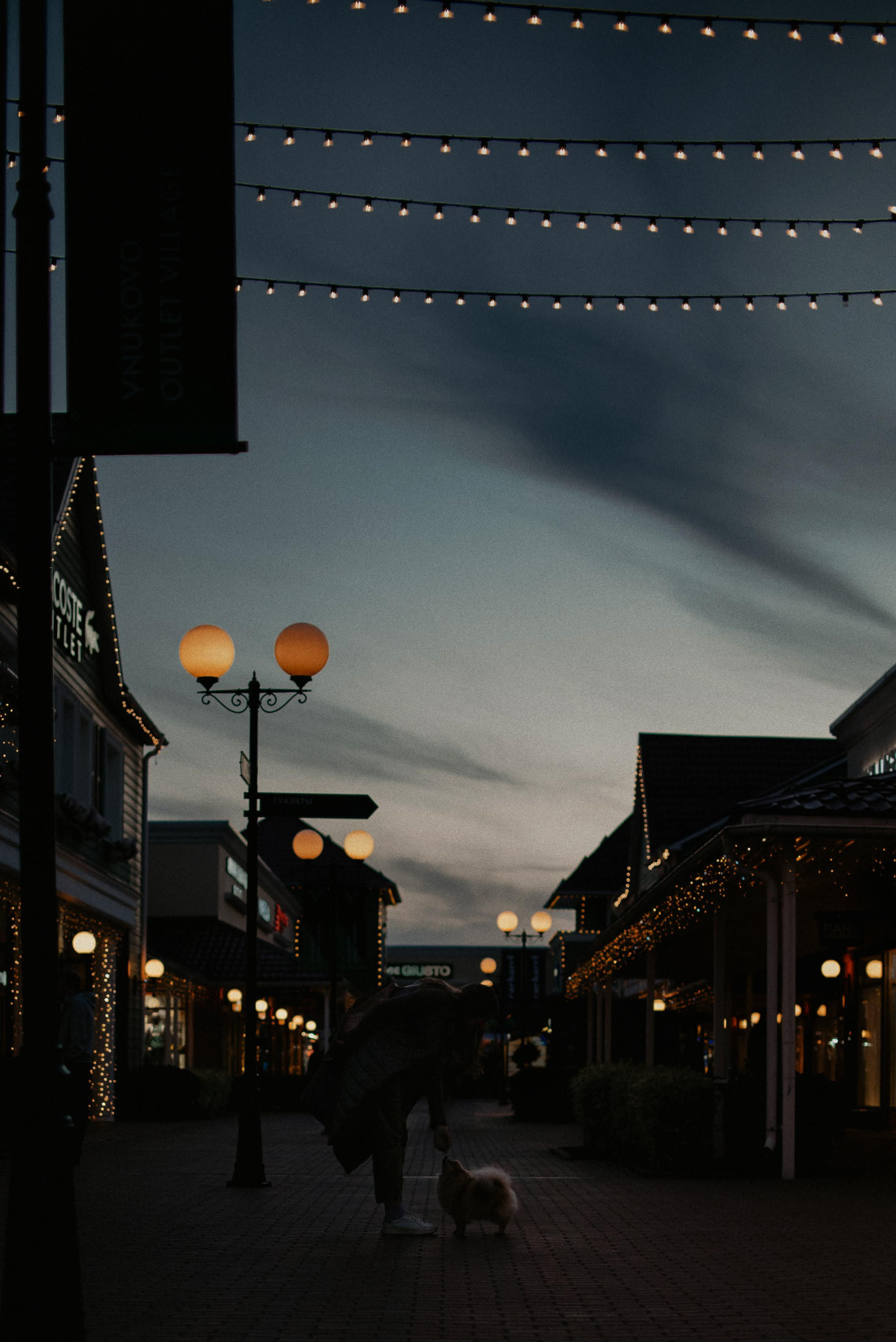 Anastasia and Vesta. Real moments between people and their dogs