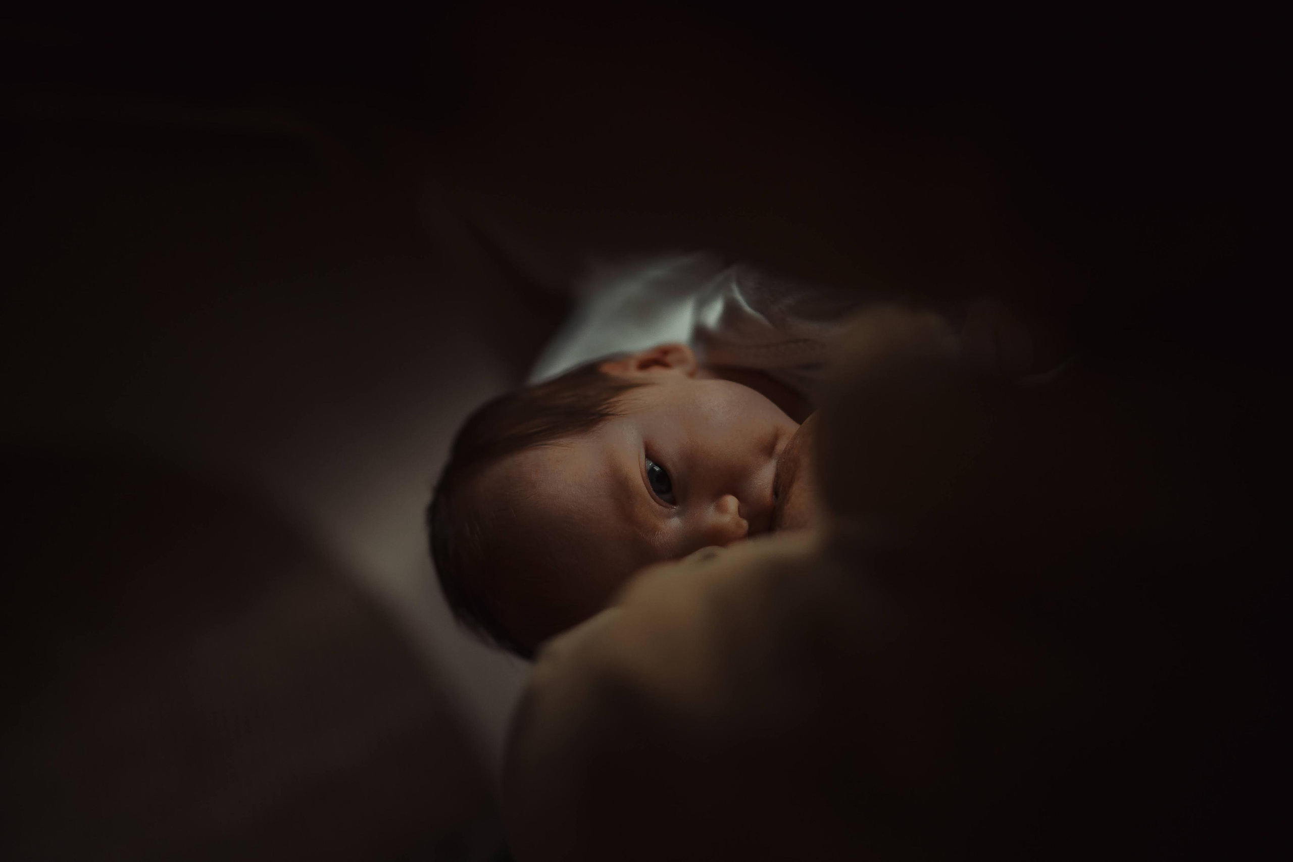 Family photo shoot. Real moments between people and their dogs