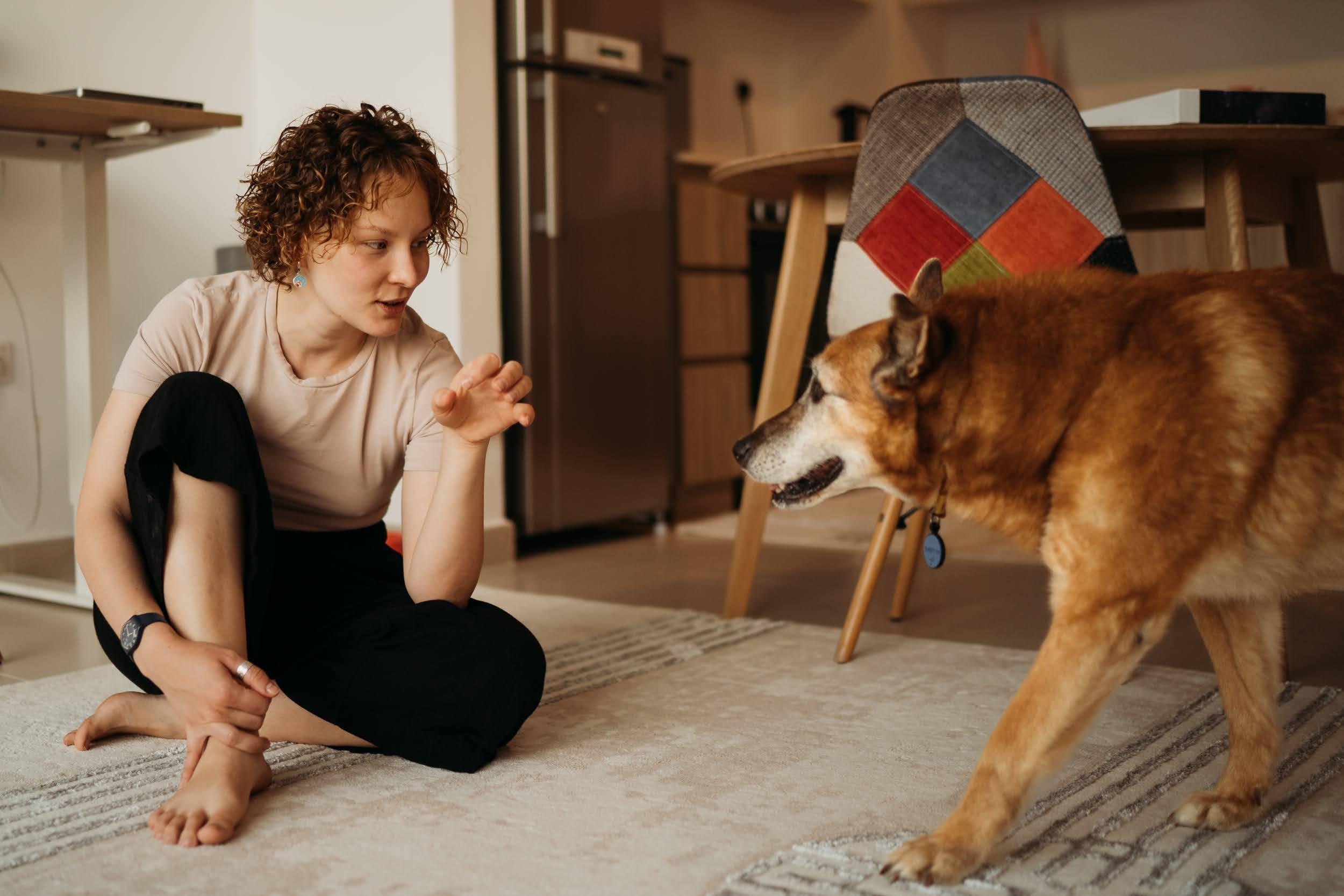 Violet and Hvostik. Real moments between people and their dogs