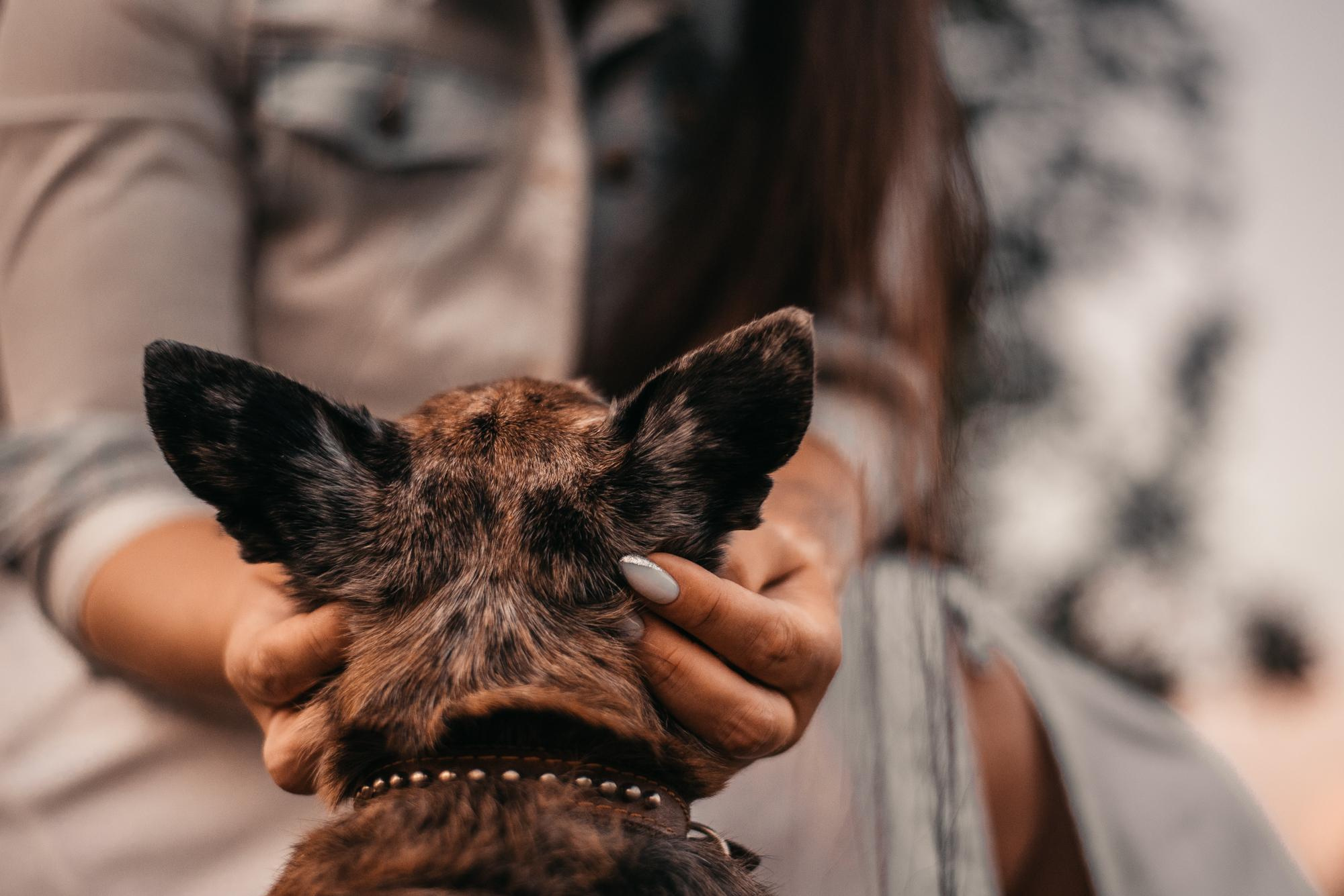 Elena and Vegas. Real moments between people and their dogs