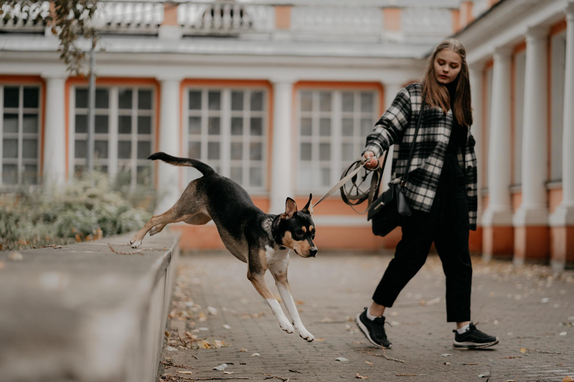 Elena and Molli. Real moments between people and their dogs