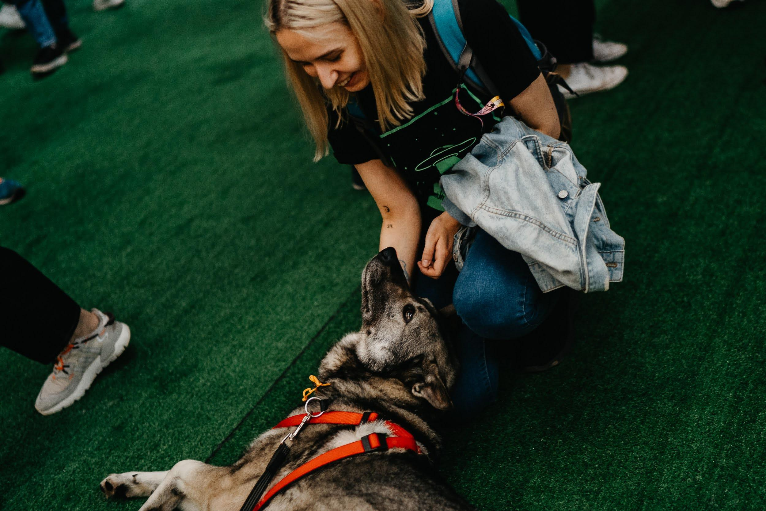 Shelter dogs. Real moments between people and their dogs